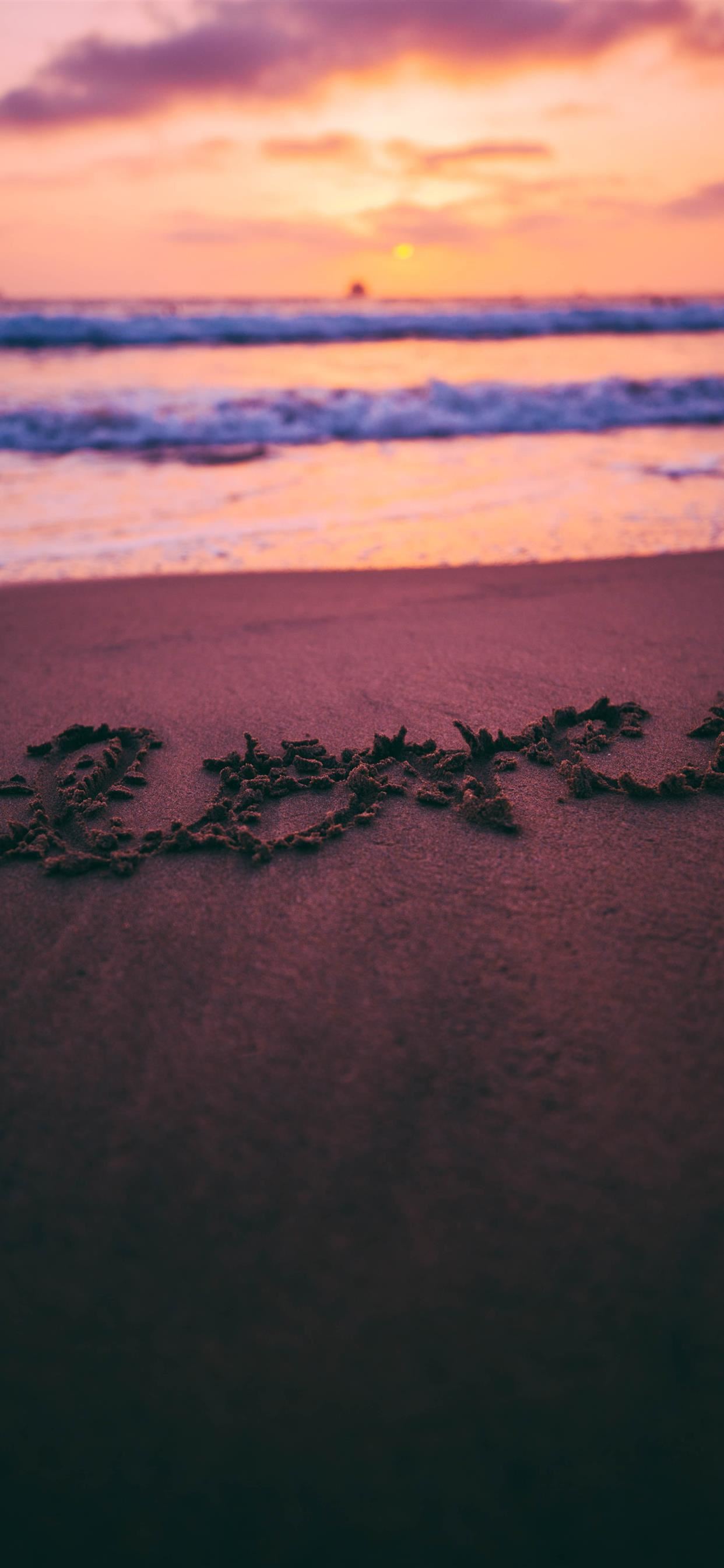 Love The Wild iPhone SE Wallpaper Free Download