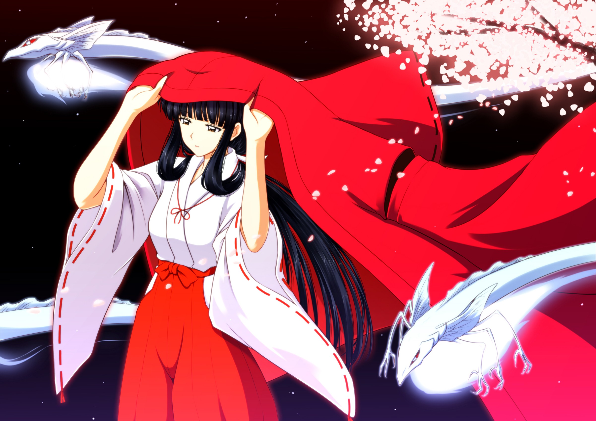 Inuyasha Picture Wallpaper
