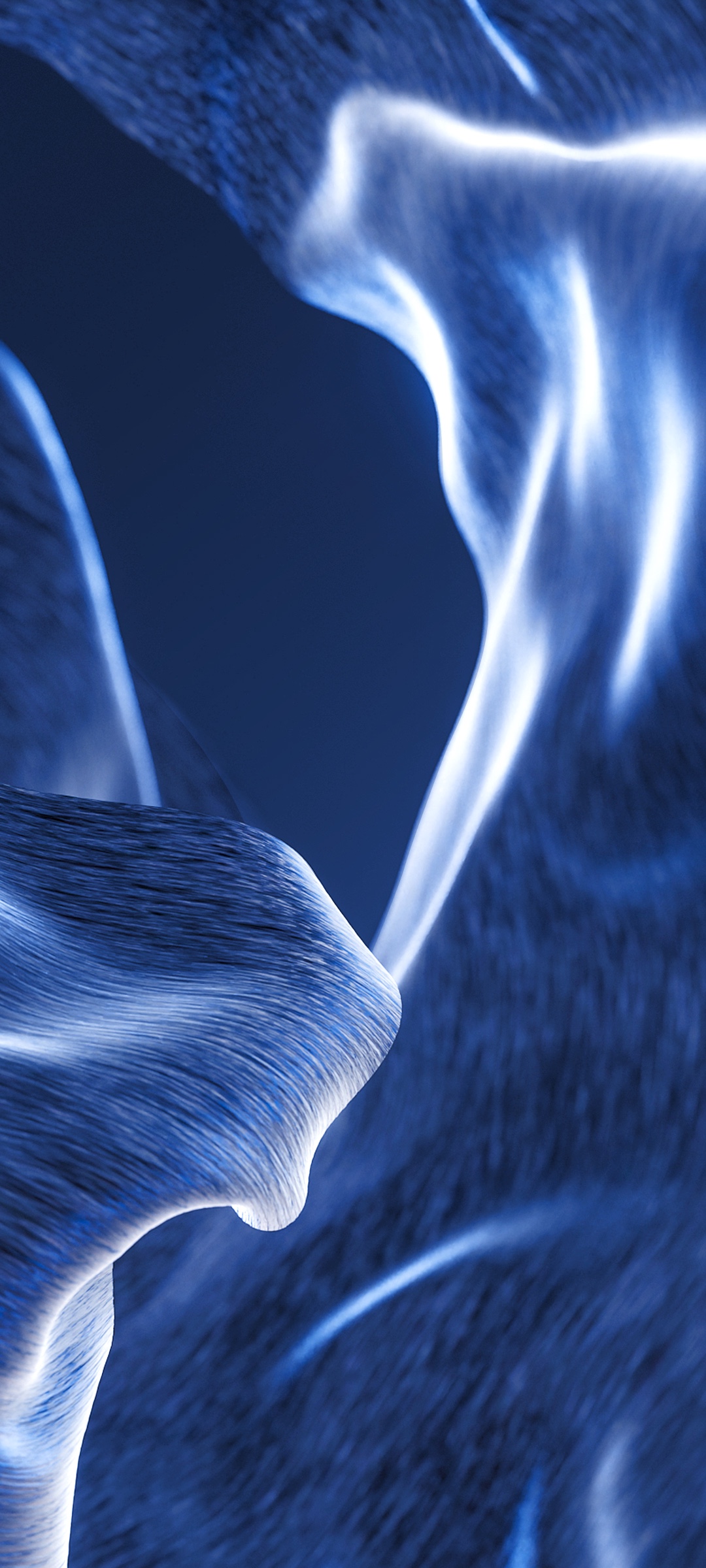 Moto Razr 2022 wallpaper