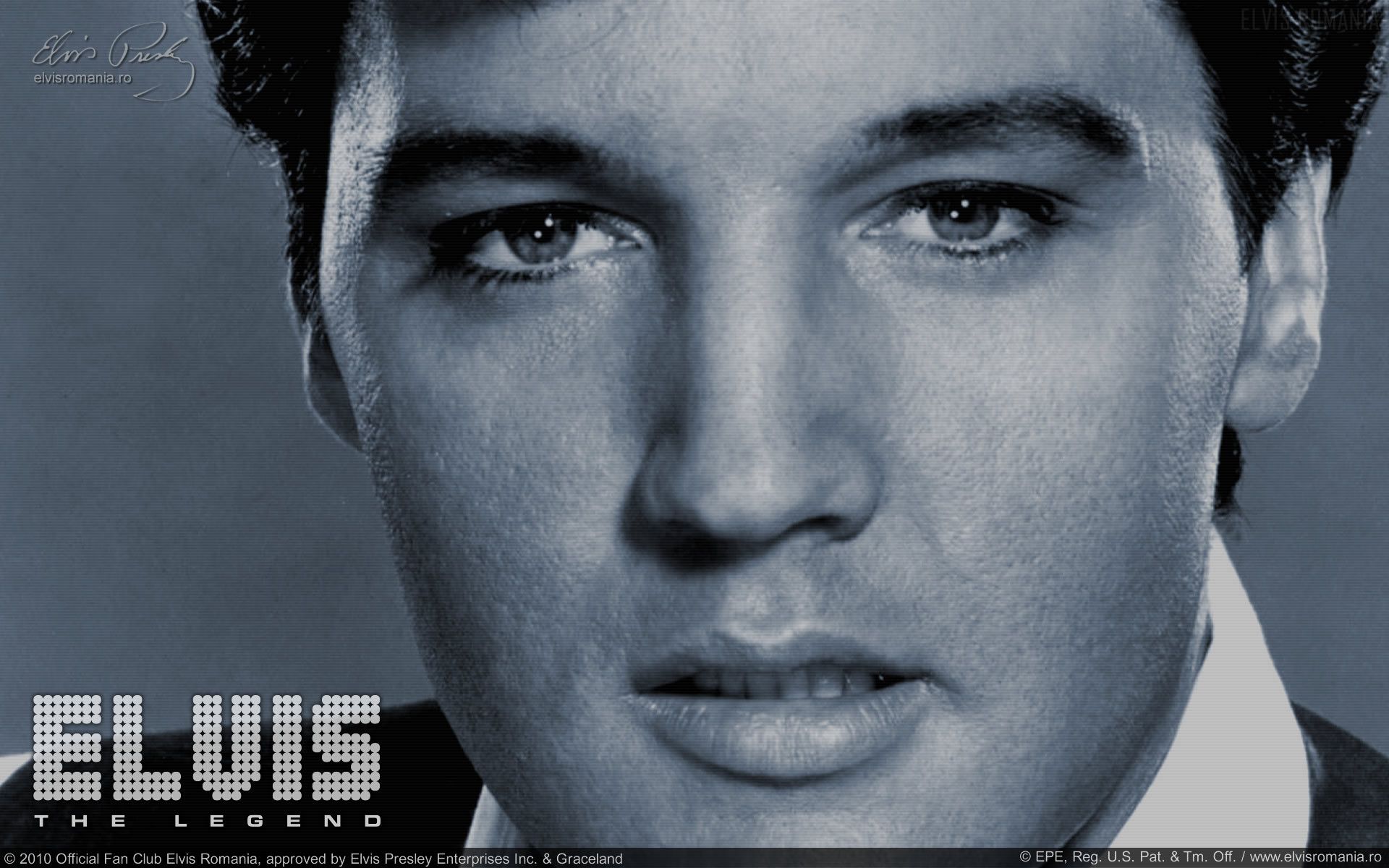 Elvis Presley Wallpaper: Elvis Romania Wallpaper. Elvis presley wallpaper, Elvis wallpaper, Elvis presley image