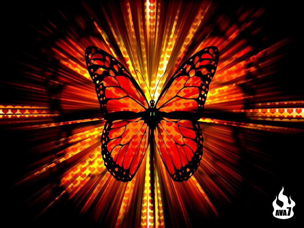 photographeyes: Cartoon Butterfly Wallpaper