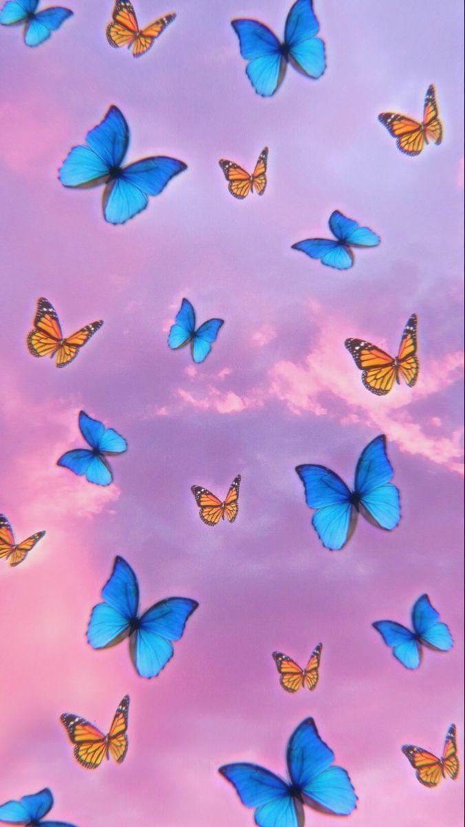 Free download Butterfly Lock screen Watercolor wallpaper iphone Butterfly [676x1200] for your Desktop, Mobile & Tablet. Explore Cute Cartoon Butterfly Wallpaper. Cute Butterfly Wallpaper, Cute Butterfly Wallpaper, Background Cute Butterfly