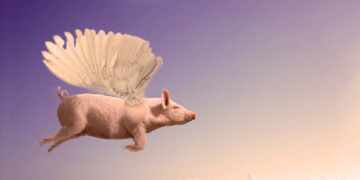 Here is the proof that PIGS can Fly.