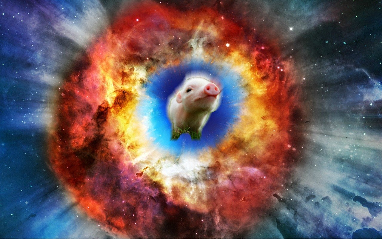 Almighty Flying Supernova Pig Wallpaper!