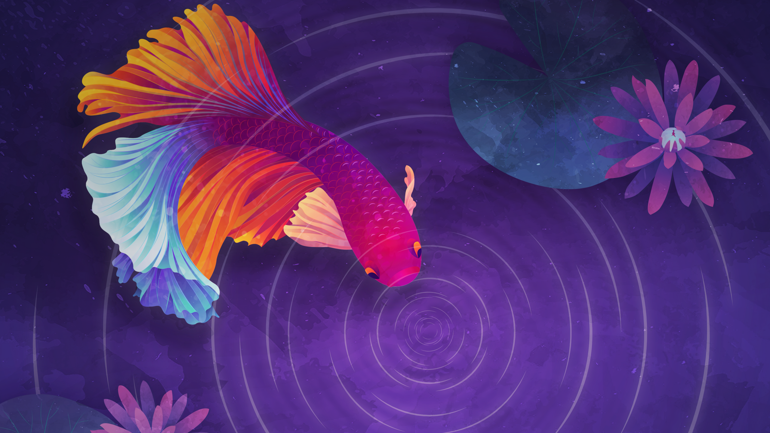Colorful fish Wallpaper 4K, Ripple, Purple background, Girly background, Fantasy