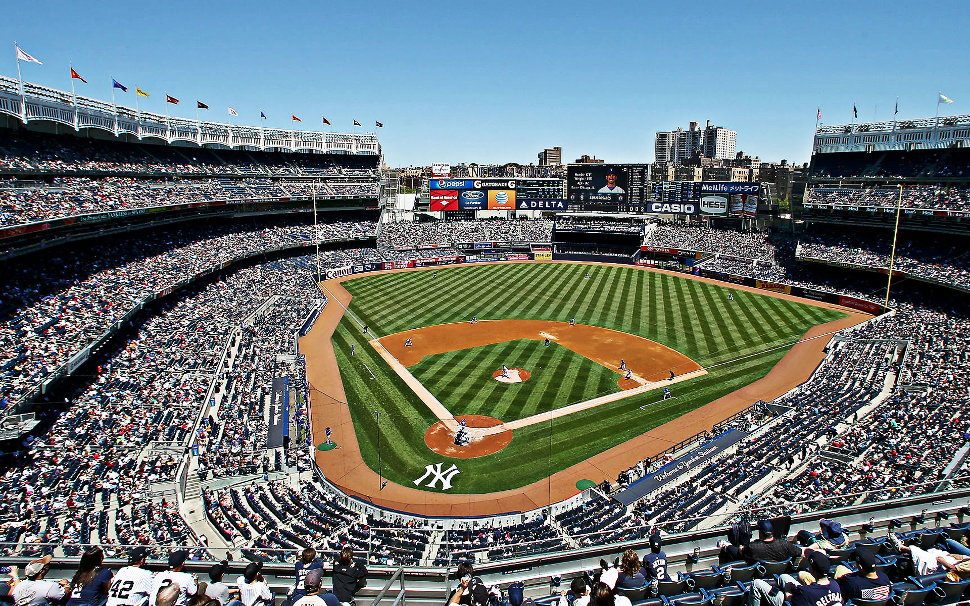 Download Yankees 1938 Team Wallpaper