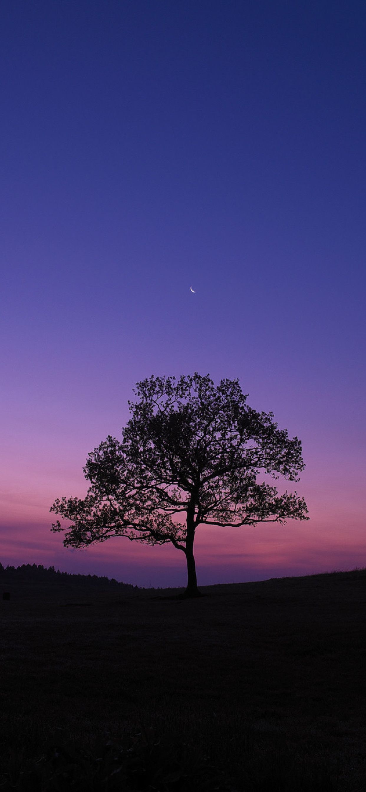 Purple Sky iPhone Wallpaper