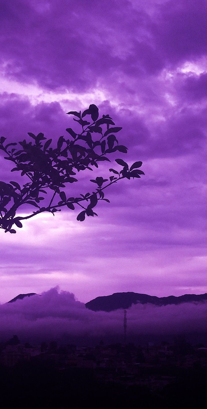 purple rain. Sky aesthetic, Cool picture of nature, Purple aesthetic background
