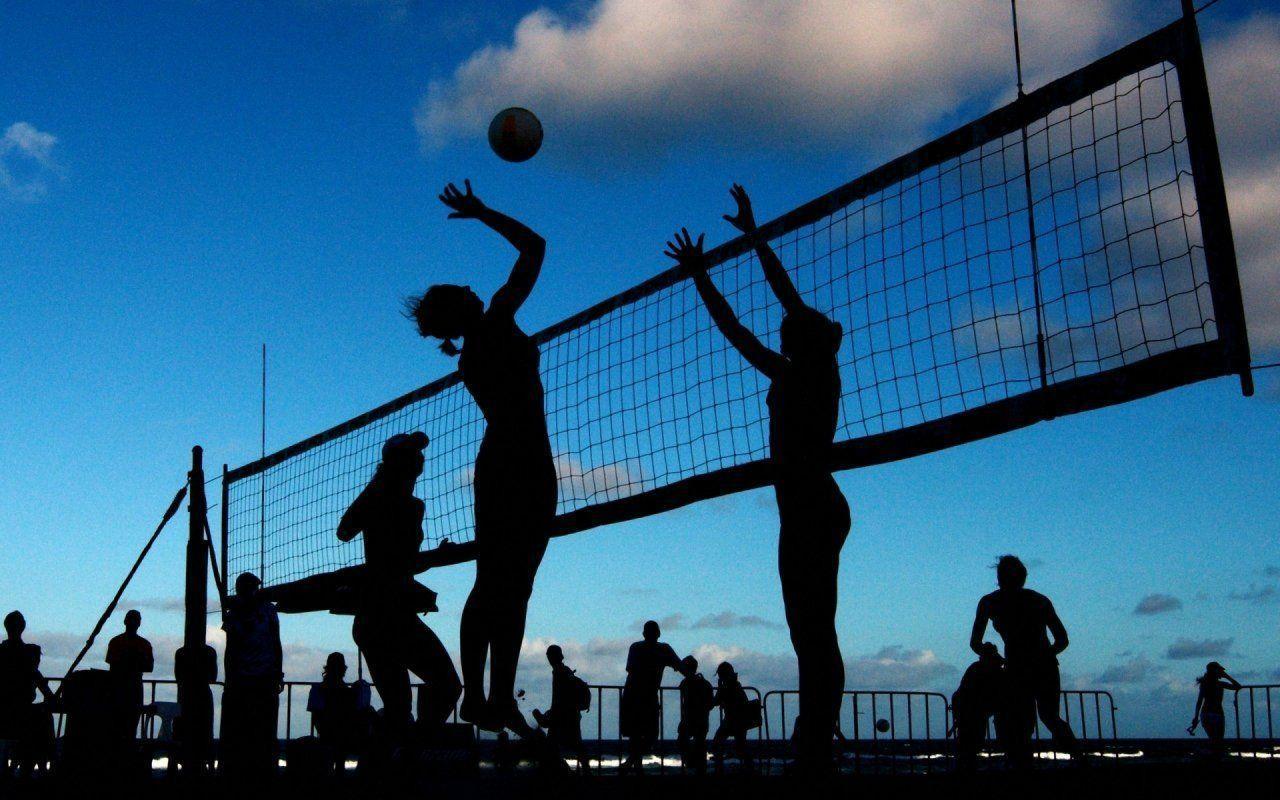 Cute Volleyball Wallpaper