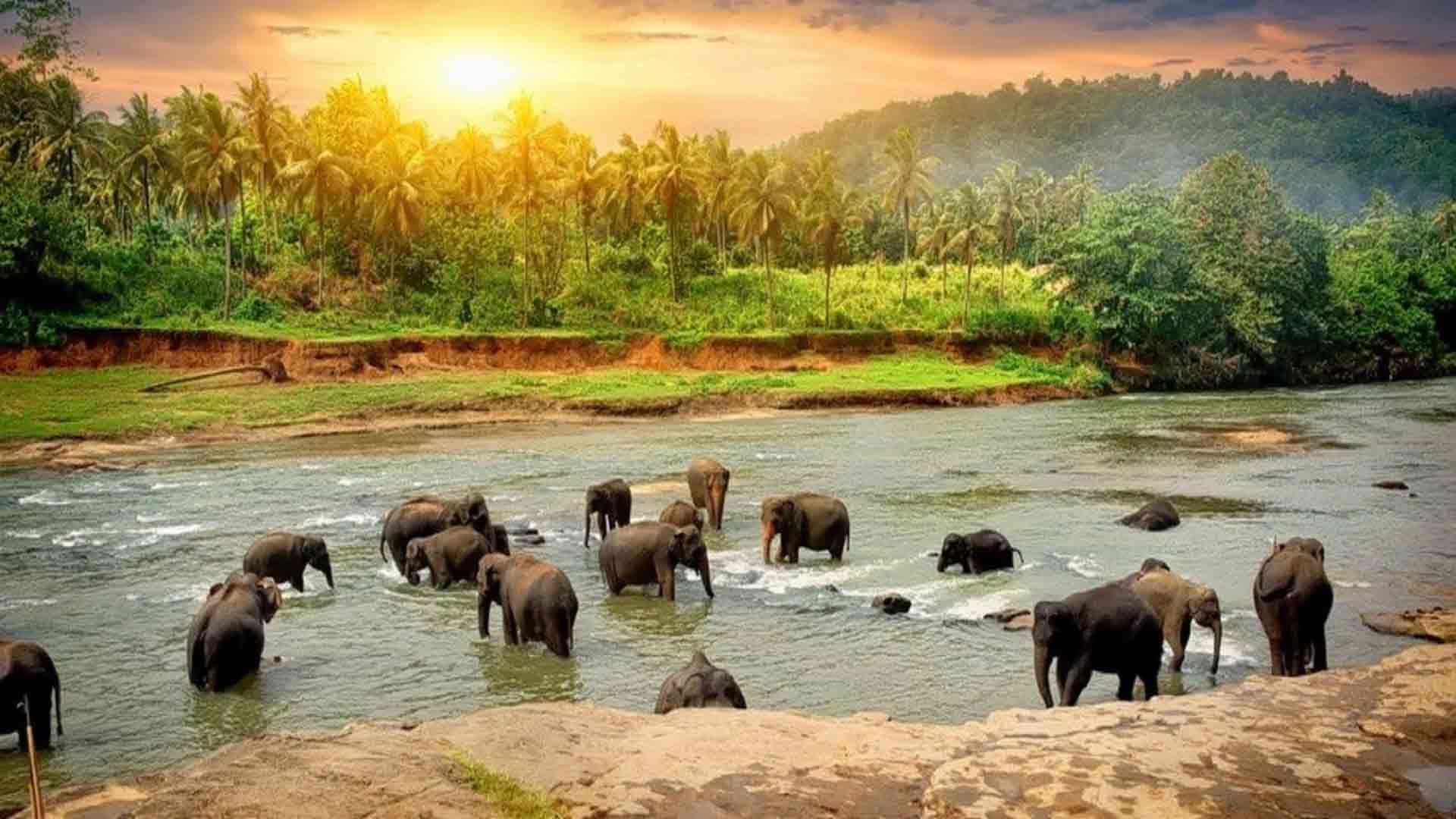 Thekkady Wallpapers - Wallpaper Cave