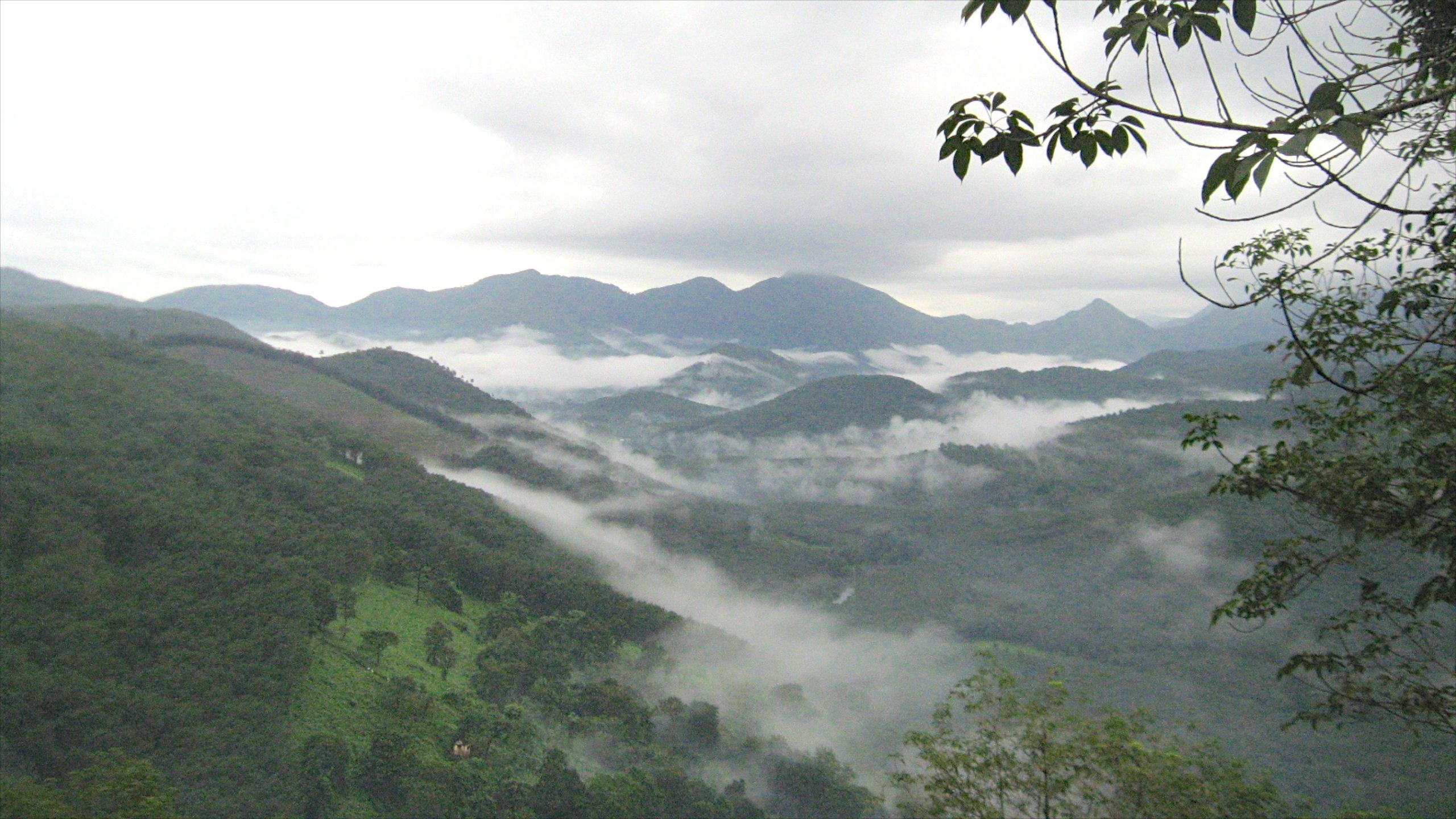 Thekkady Wallpapers - Wallpaper Cave