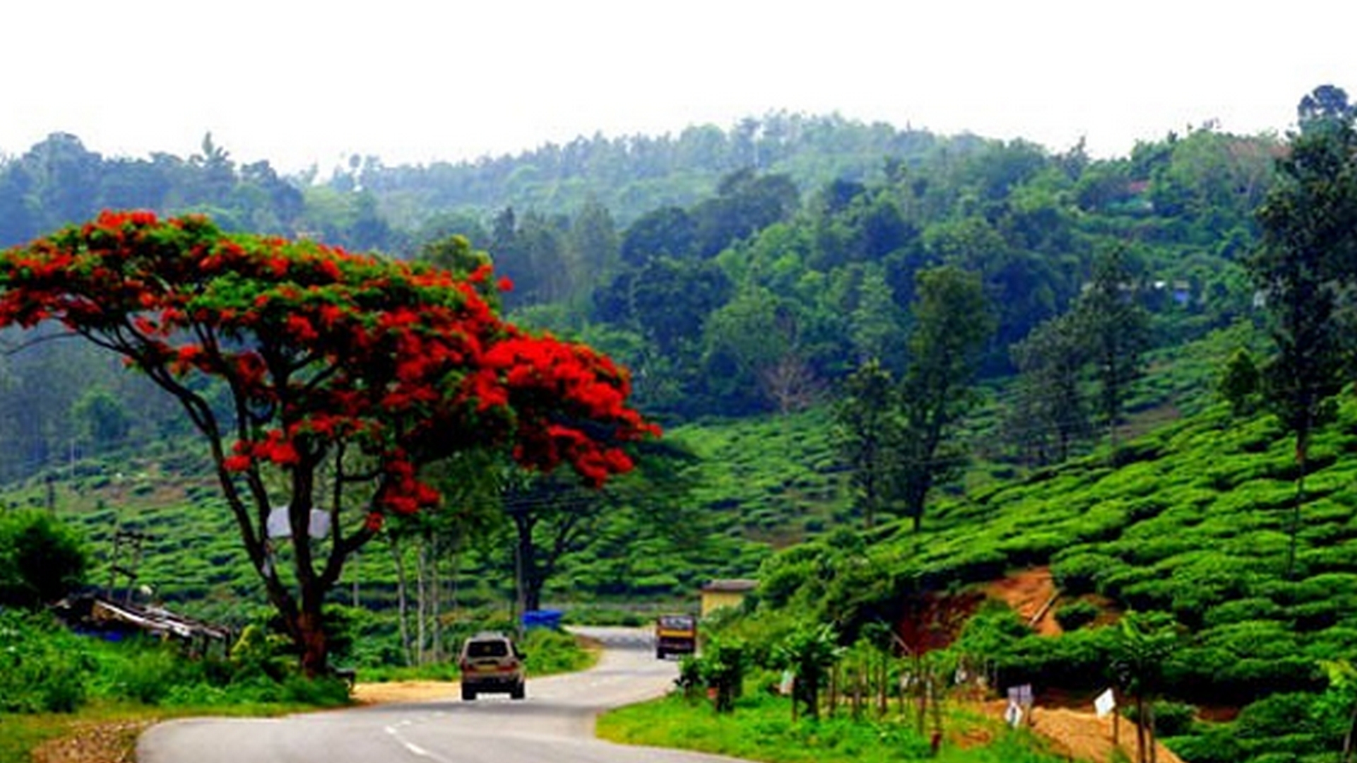 Thekkady Wallpapers - Wallpaper Cave