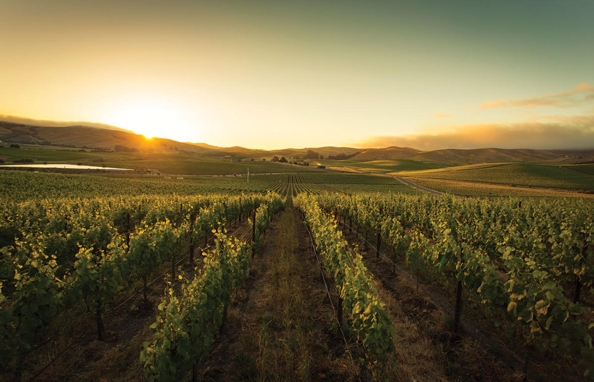 Appellations of Napa Valley, CA American Viticultural Areas