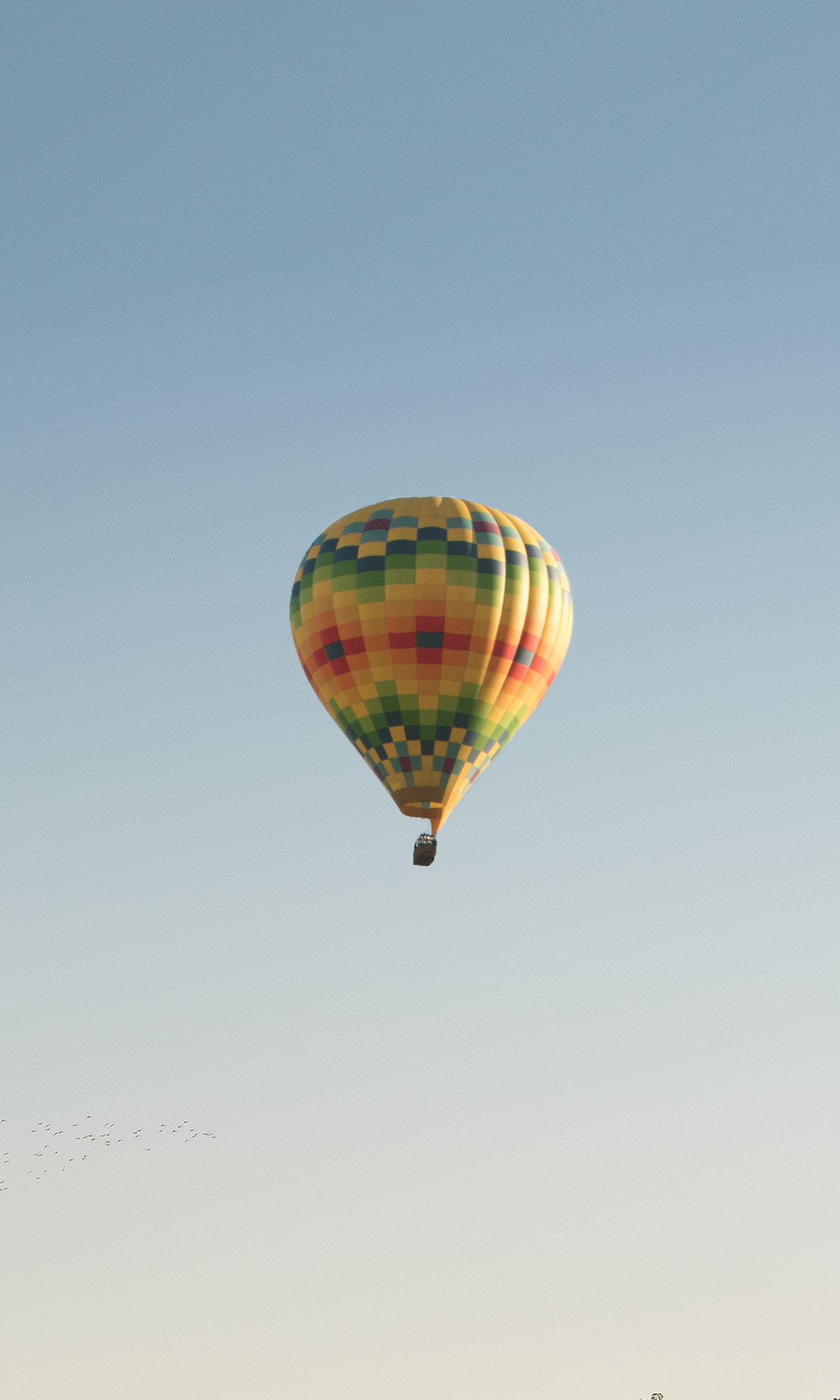 High Resolution Napa Valley Photo
