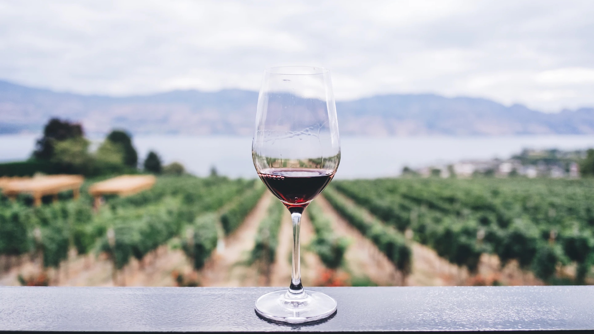 Wine Country Regions Better Than Napa. Men's Journal