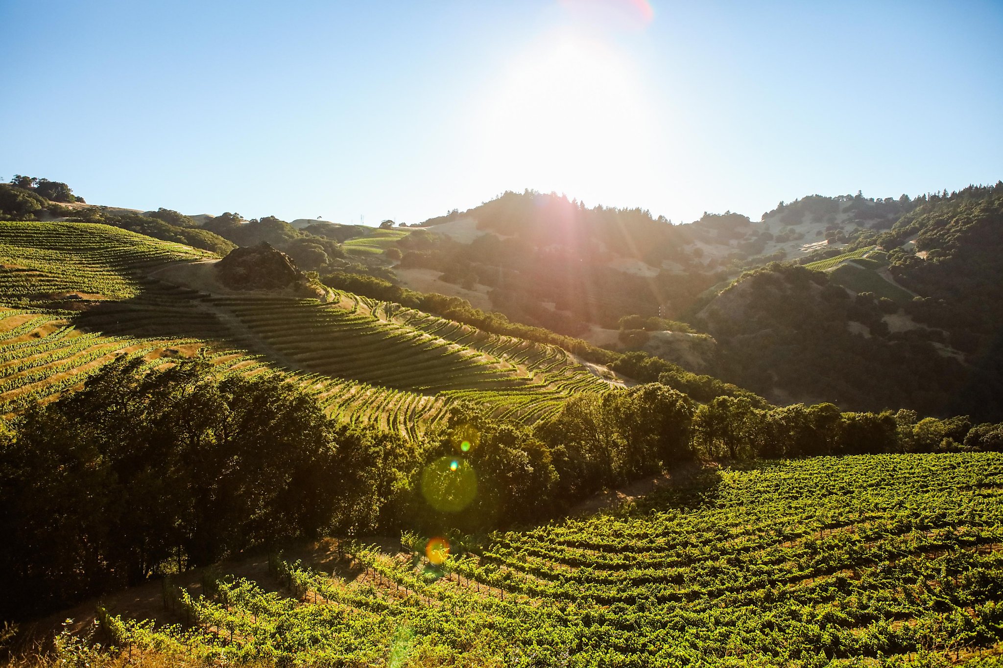 Cain: Old World Flavors In Napa Valley