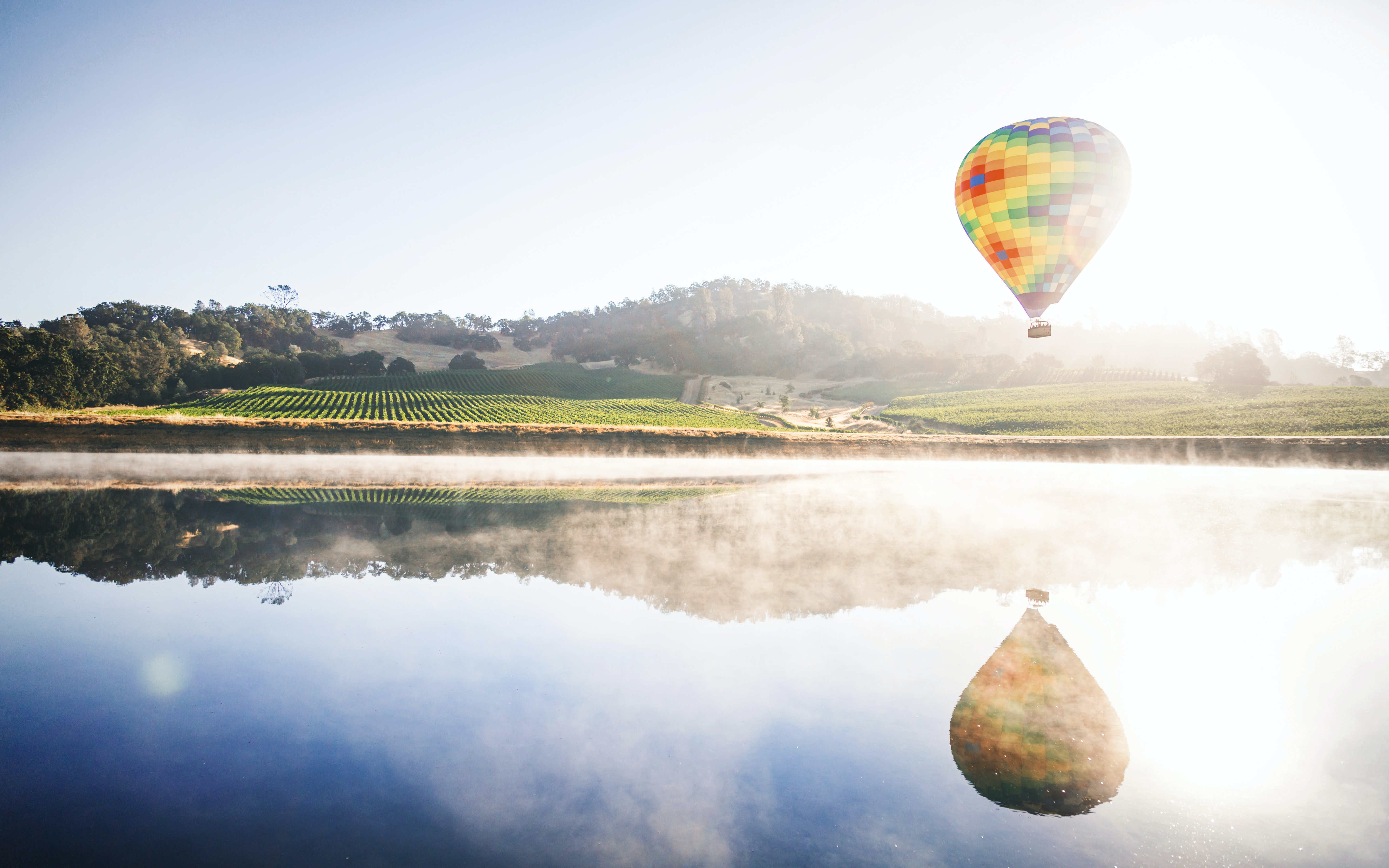The Napa Valley AVA: Learn more about California's first recognized appellation, The Napa Valley AVA