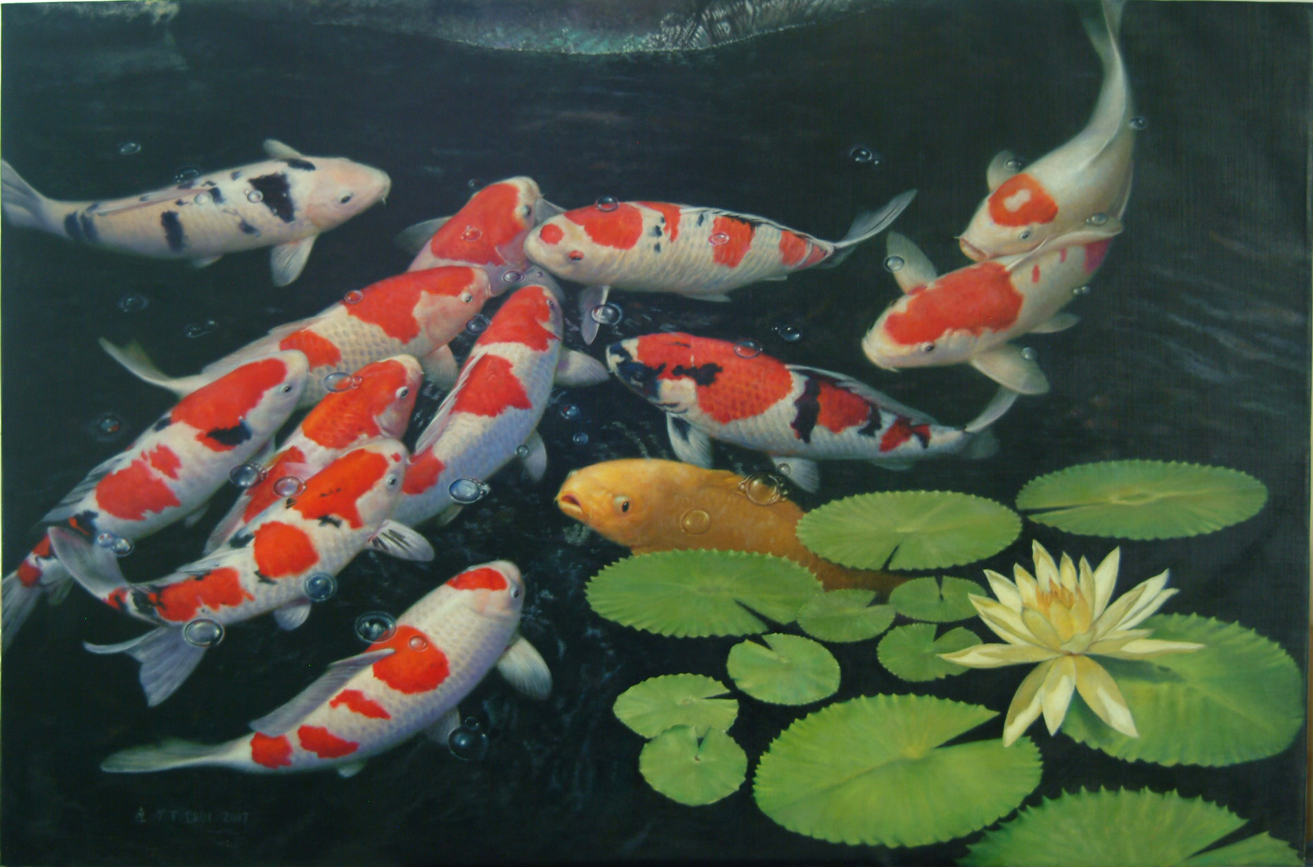 Fish Pond Wallpapers.