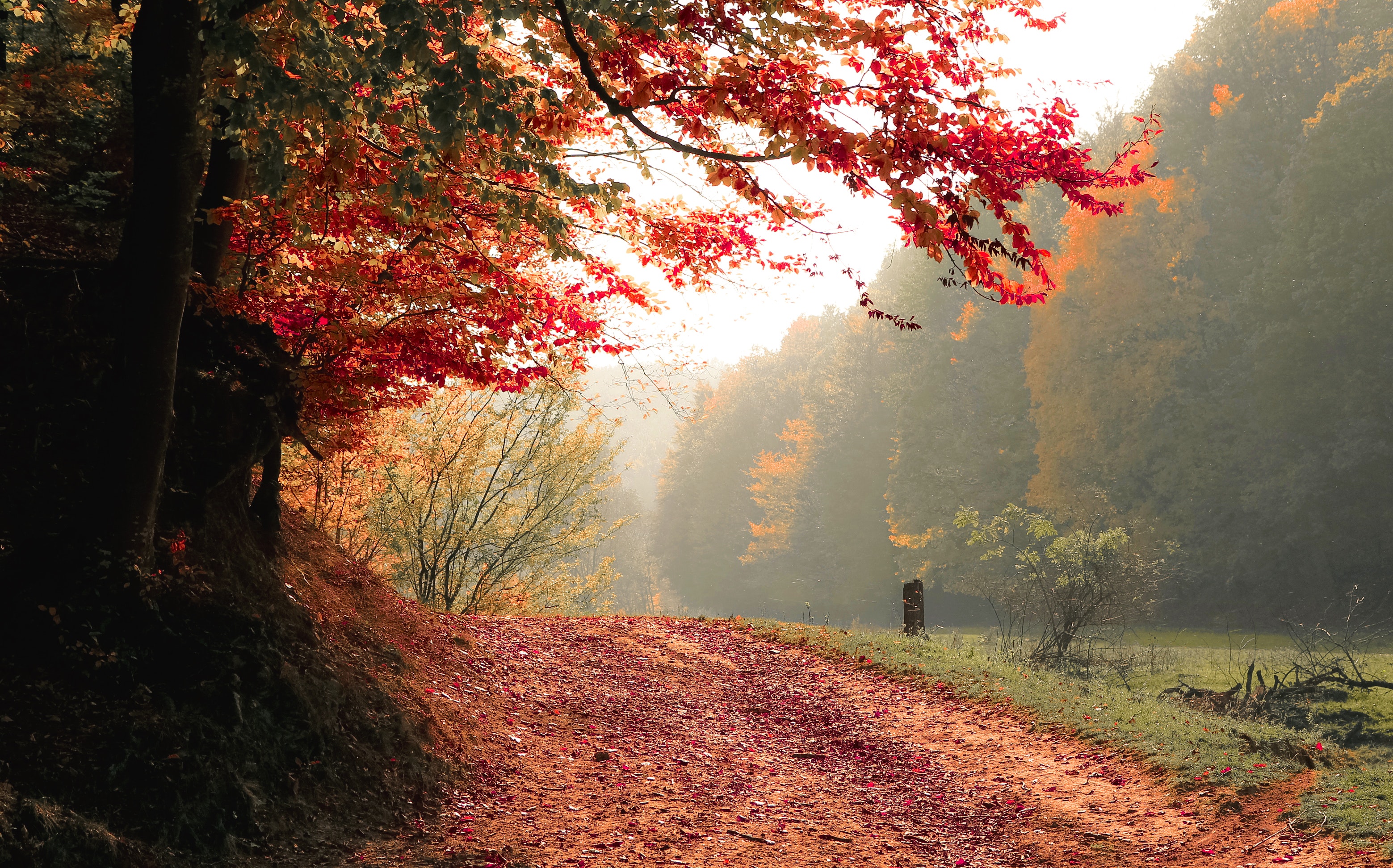 Autumn Wallpaper Photo, Download Free Autumn Wallpaper & HD Image