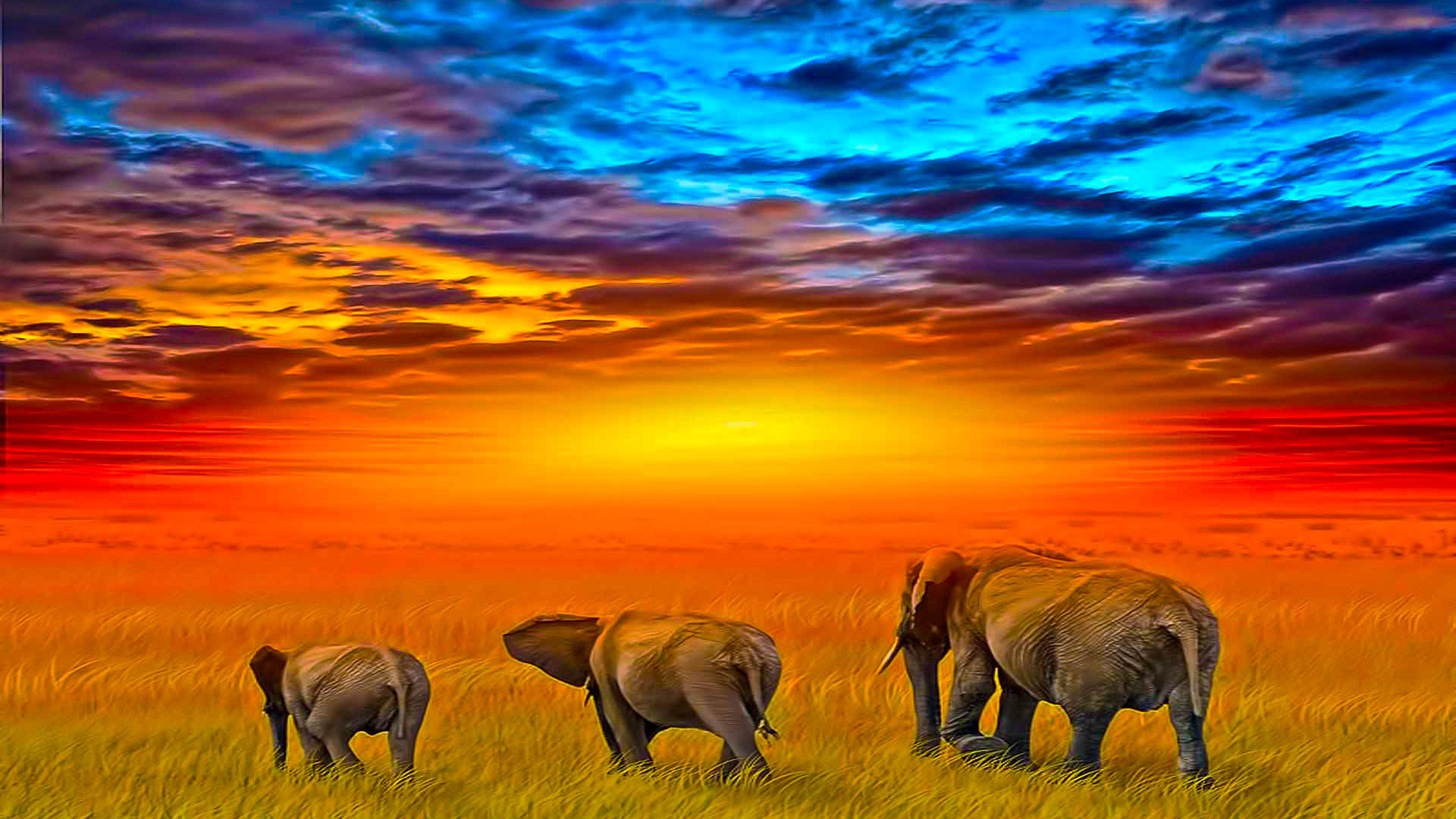 African Sunset Animales Elephants Art Wallpaper HD