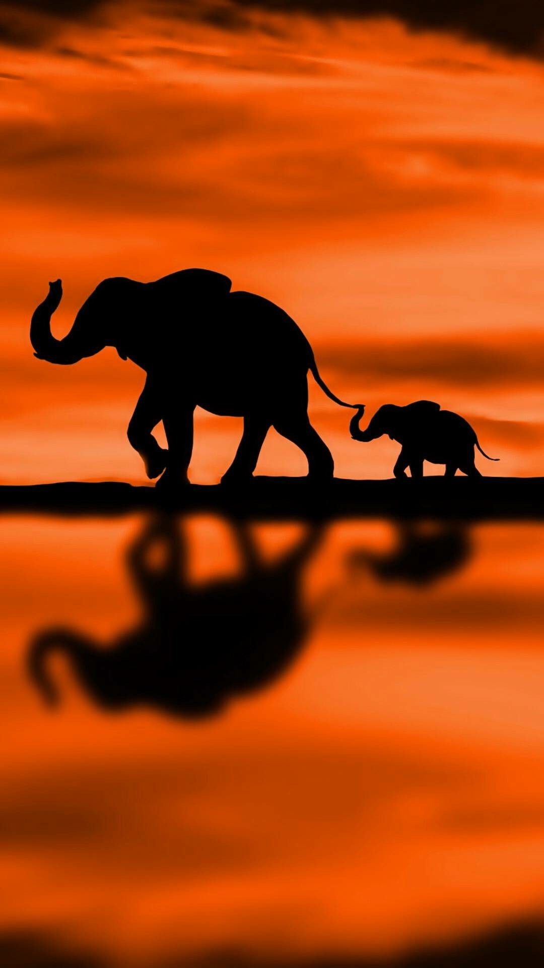 A baby elephant following it's mother on a beautiful orange background. Silhouette art, Silhouette painting, Elephant photography