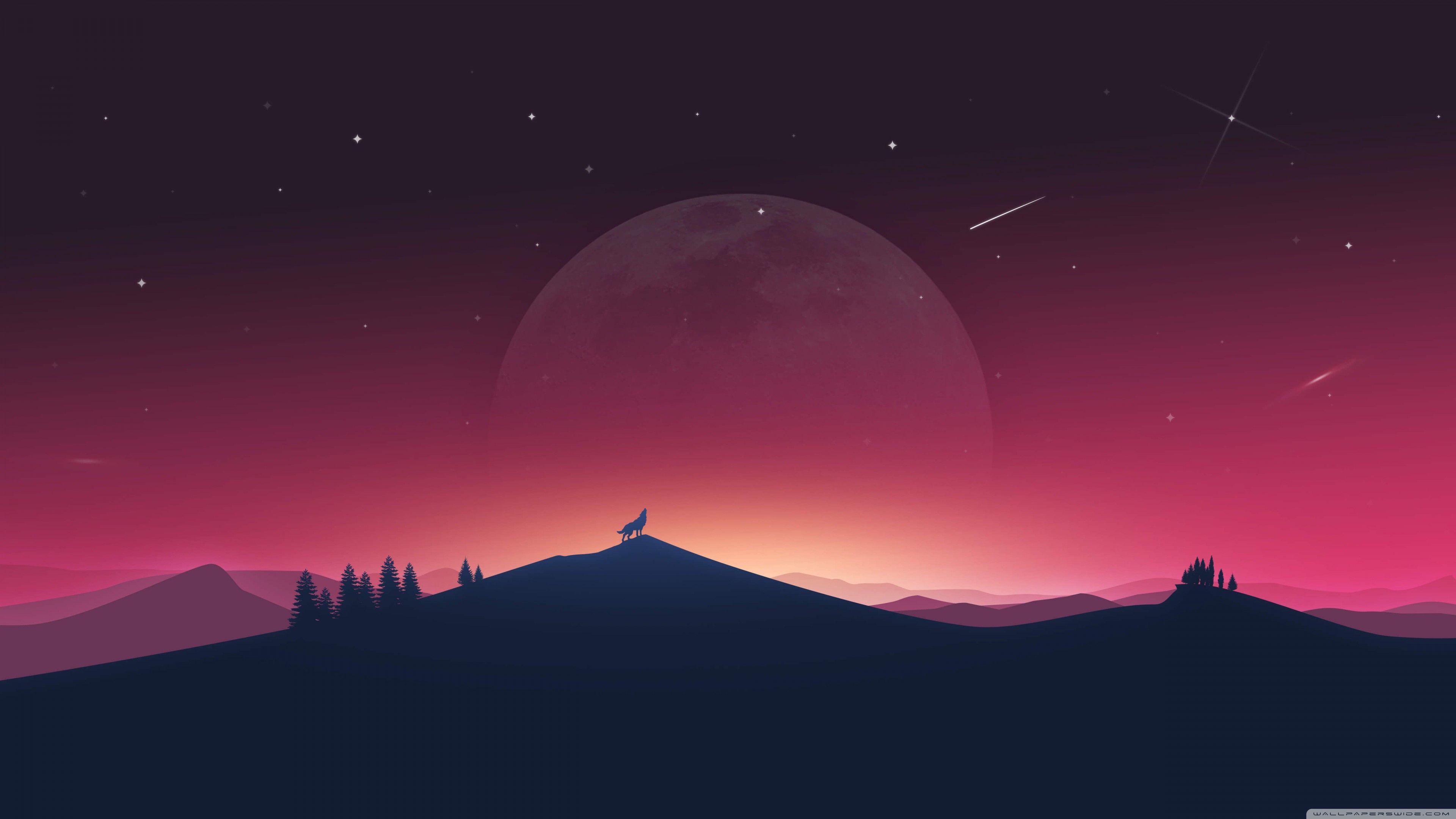 Wolf Ultra HD Desktop Background Wallpaper for 4K UHD TV, Widescreen & UltraWide Desktop & Laptop, Multi Display, Dual Monitor, Tablet