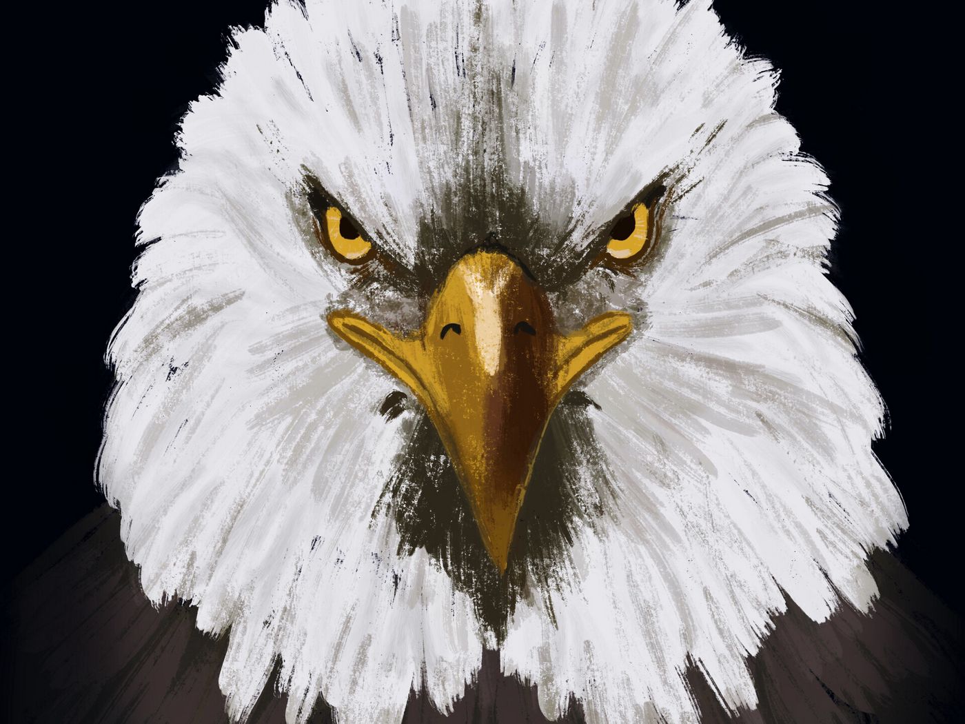 Eagle Head Wallpapers - Wallpaper Cave