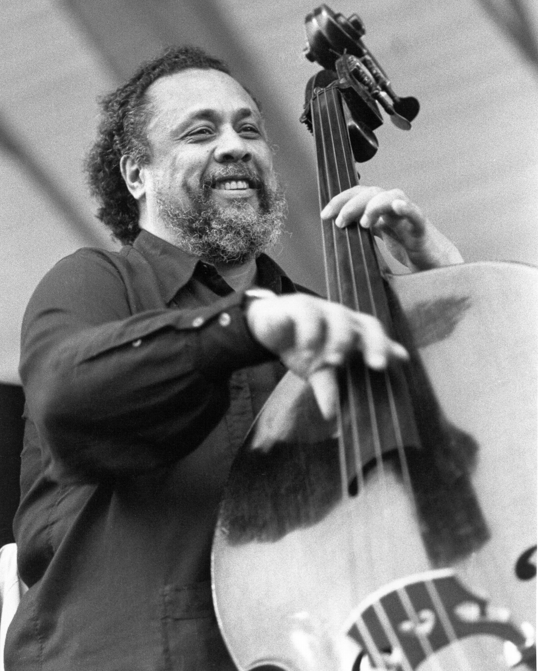 The Multifaceted Mingus