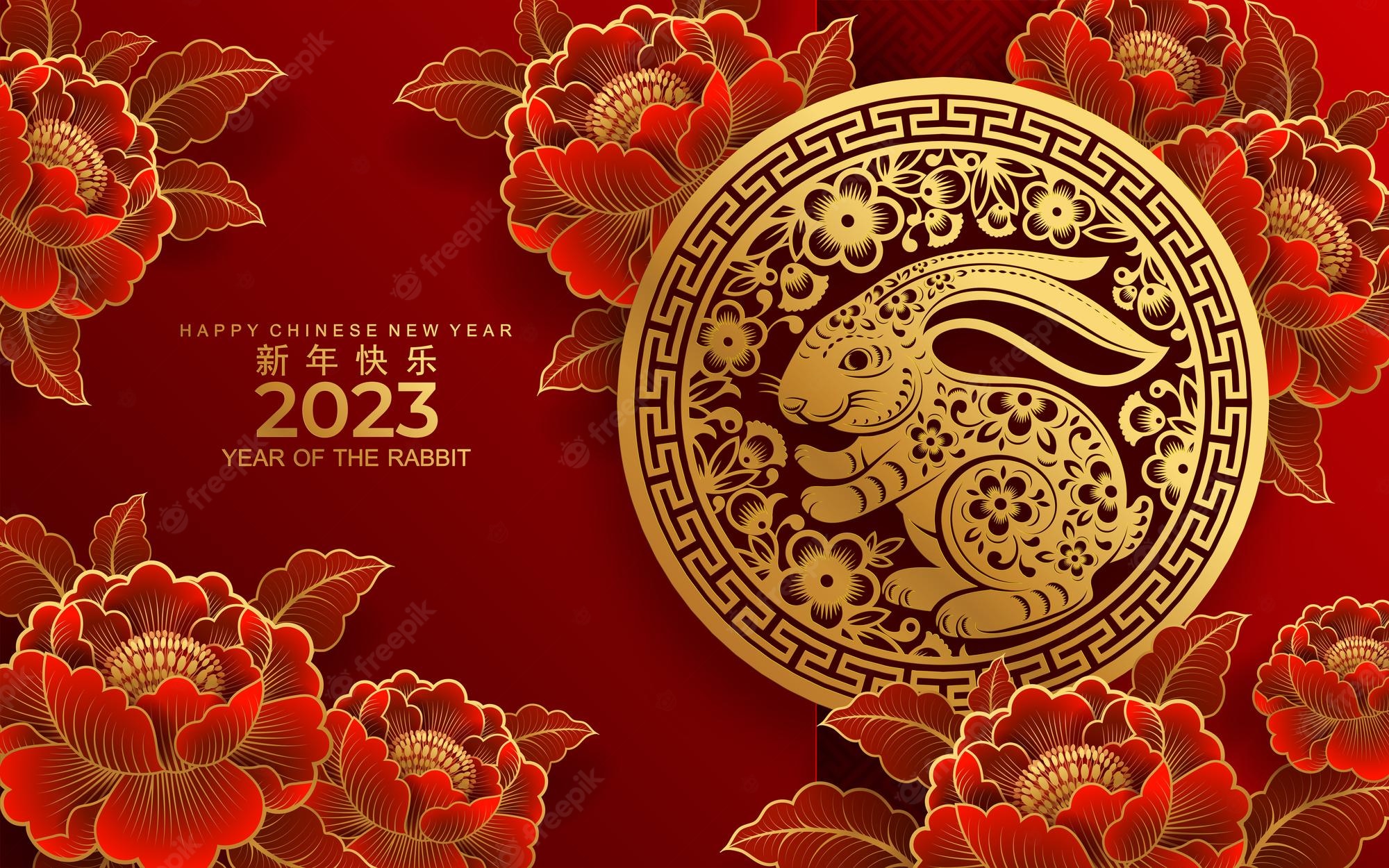 Premium Vector. Happy chinese new year 2023 year of the rabbit