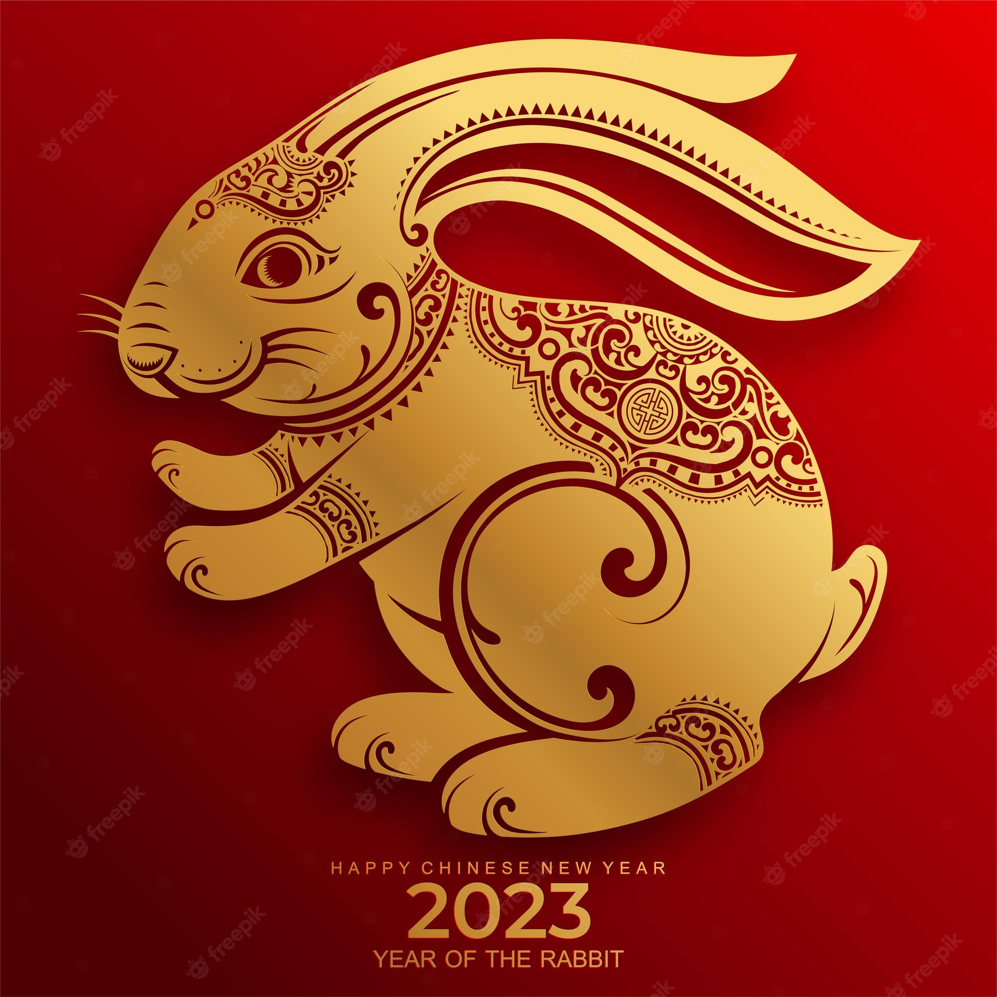 Premium Vector. Happy chinese new year 2023 year of the rabbit zodiac