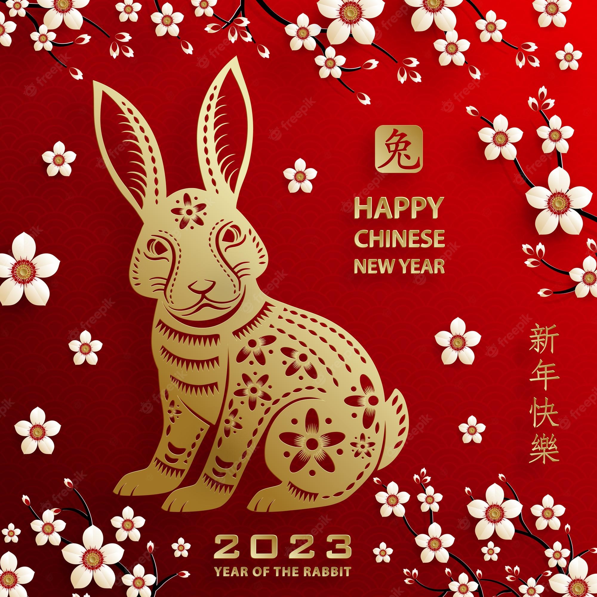 Premium Vector. Happy chinese new year 2023 rabbit zodiac sign for the year of the rabbit