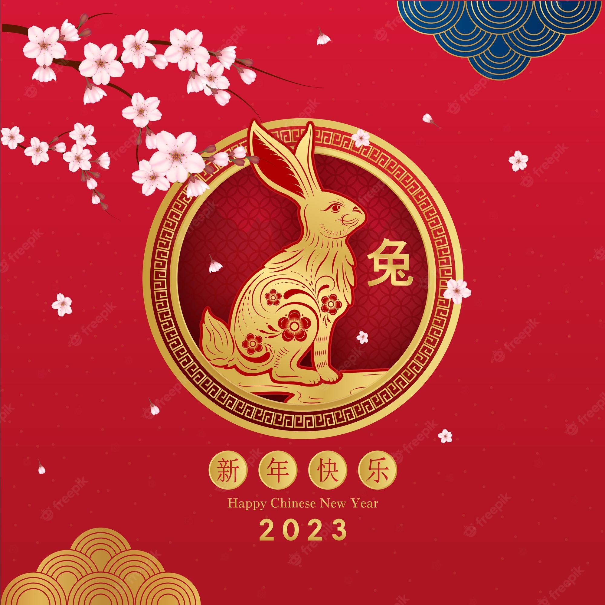 Premium Vector. Chinese new year 2023 card, rabbit zodiac sign on red background. rabbit and cherry blossom