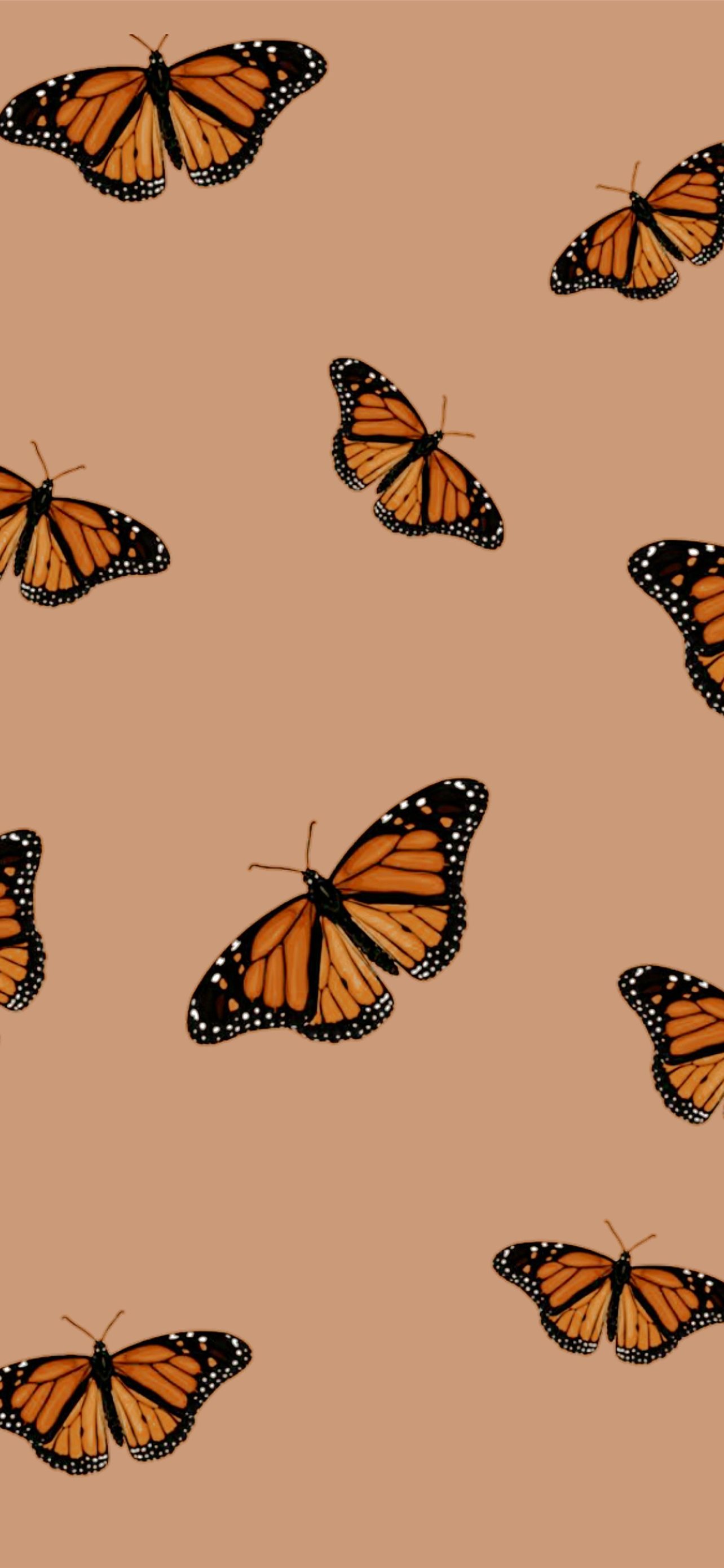 Best Butterfly iPhone HD Wallpaper