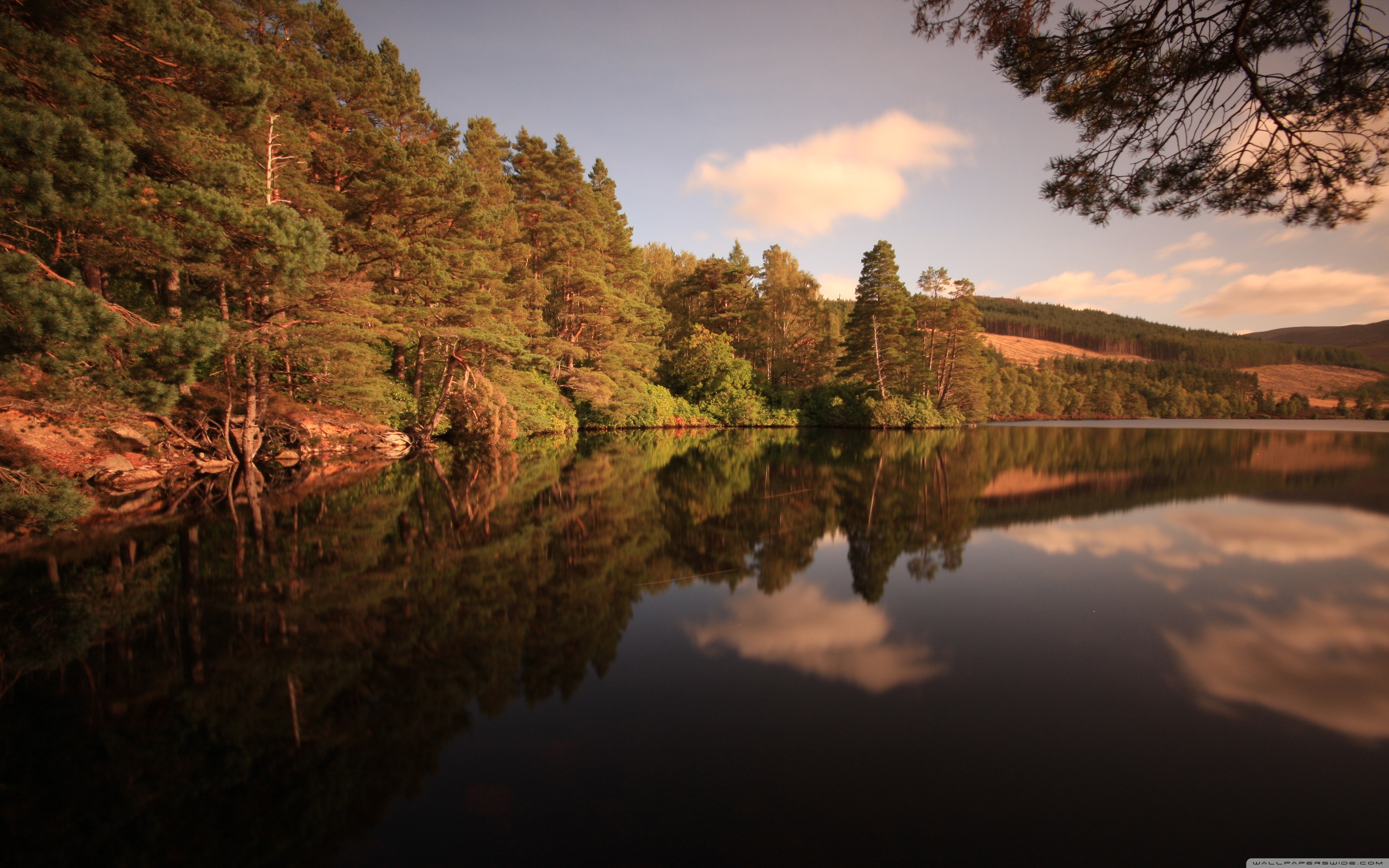 Forest Lake, Late Summer Ultra HD Desktop Background Wallpaper for 4K UHD TV, Multi Display, Dual Monitor, Tablet