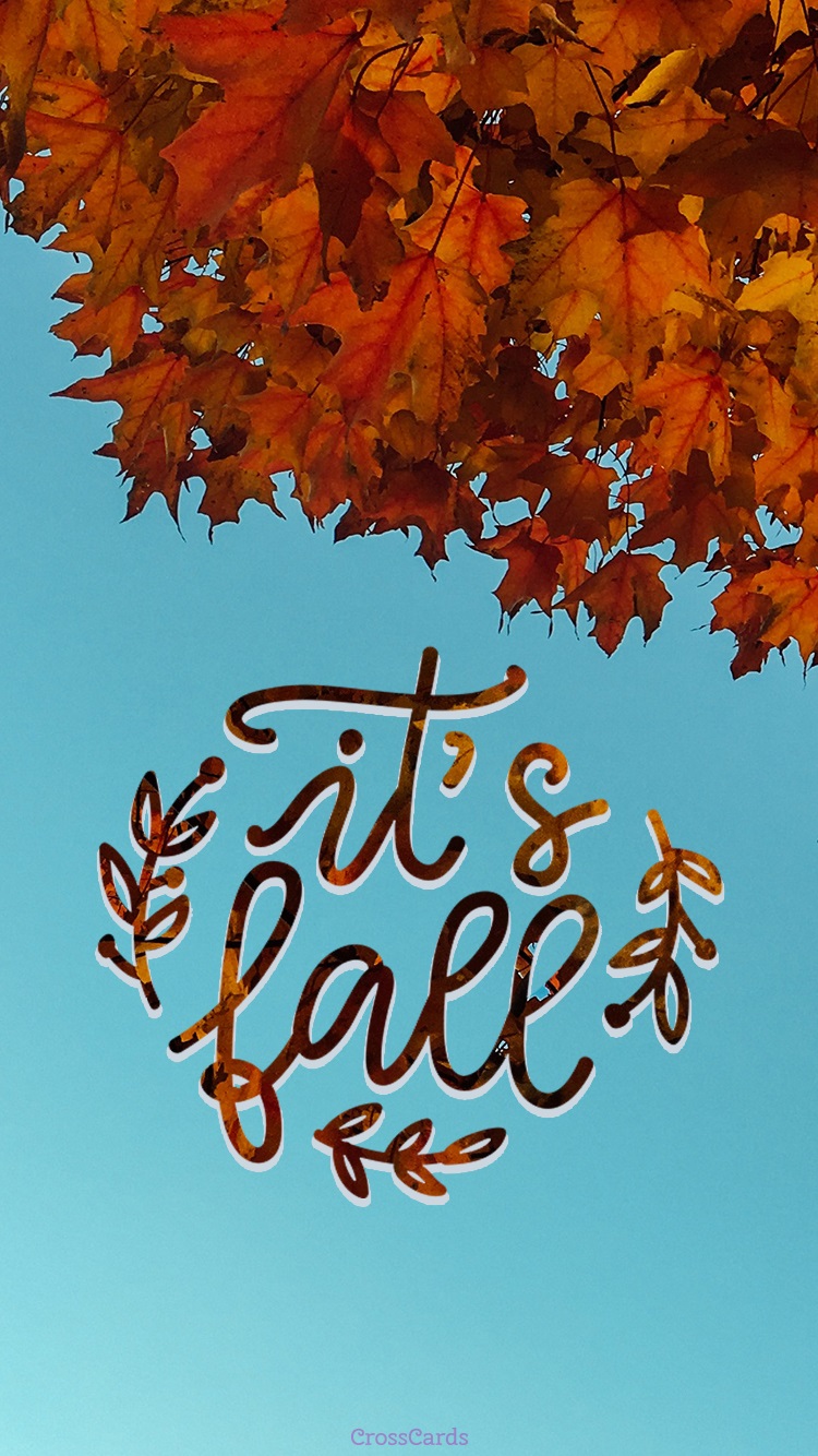 It's Fall Wallpaper and Mobile Background