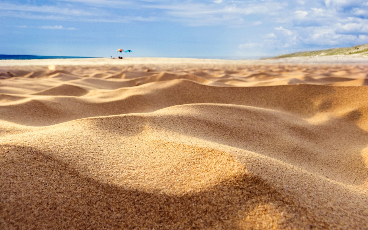 Summer Sand Dunes Wallpaper 3D Models. Free