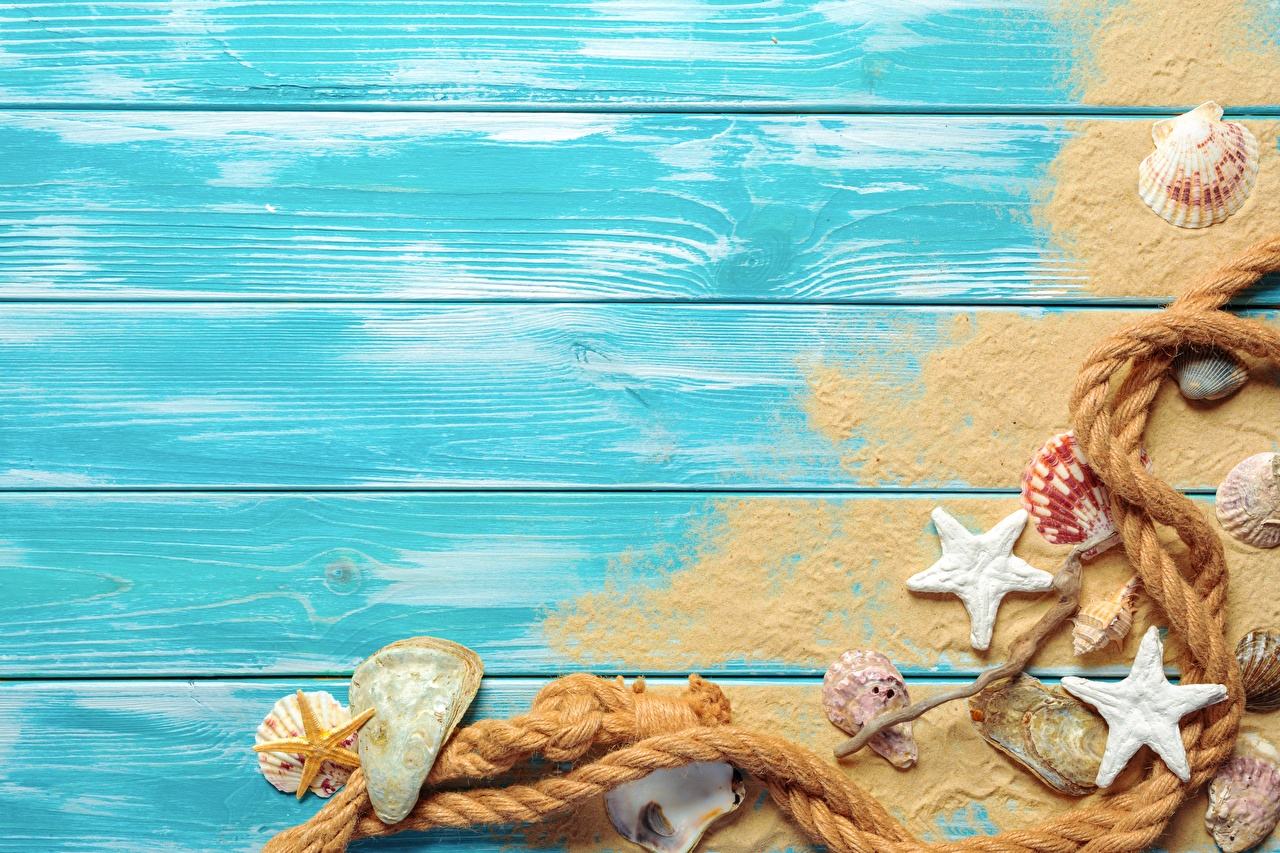 Wallpaper Starfish Rope Summer Sand Shells greeting card