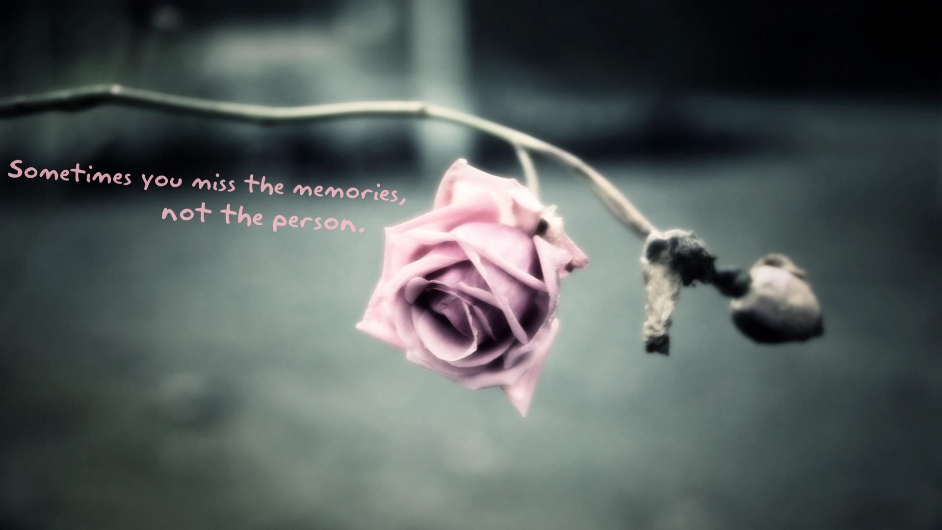You Miss The Memories, Not The Person Picture, Photo, and Image for Facebook, Tumblr, , and Twitter