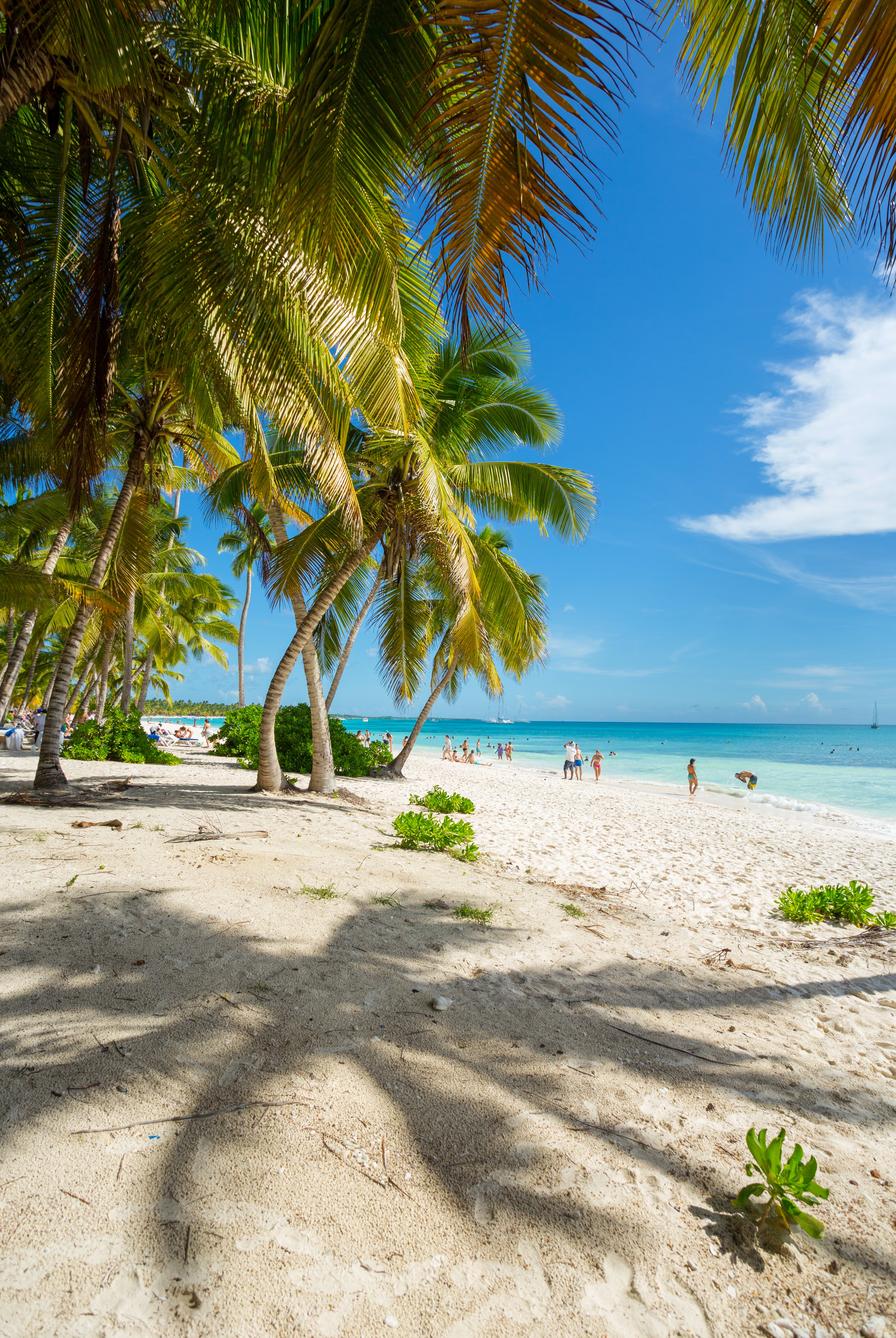 Dominican Republic Beach Photo, Download Free Dominican Republic Beach & HD Image
