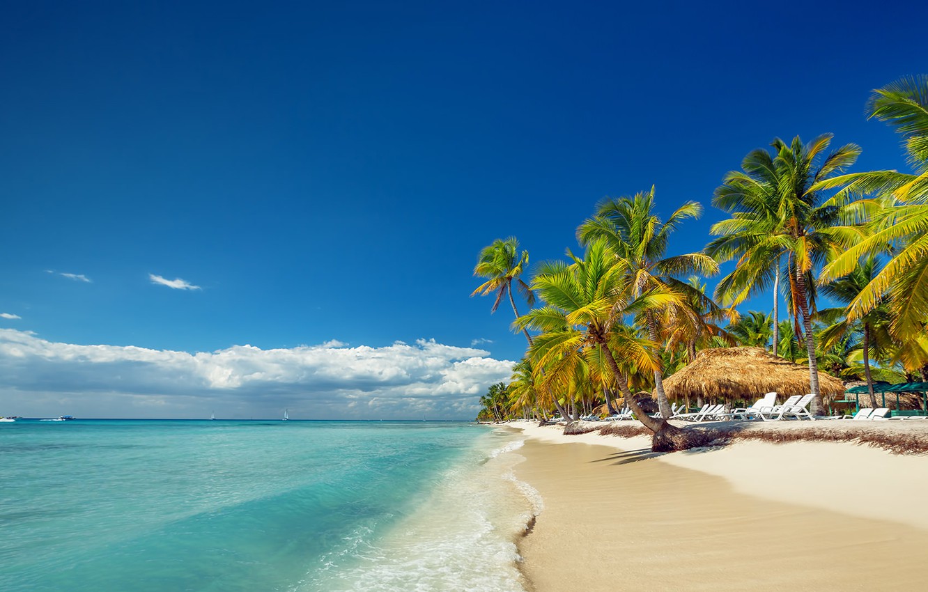 Wallpaper sand, sea, beach, palm trees, Dominican Republic image for desktop, section пейзажи