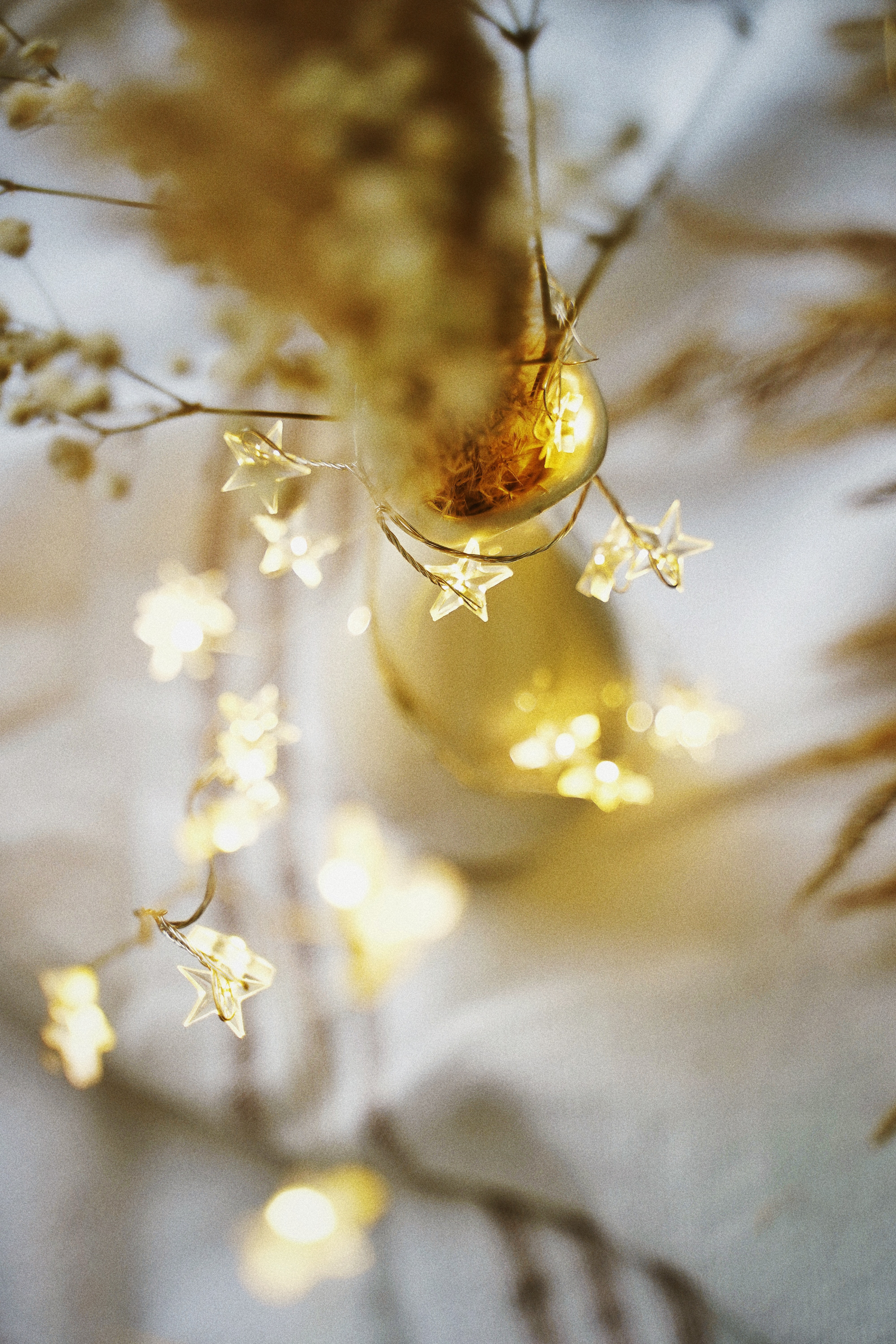 Fairy Lights Photo, Download Free Fairy Lights & HD Image