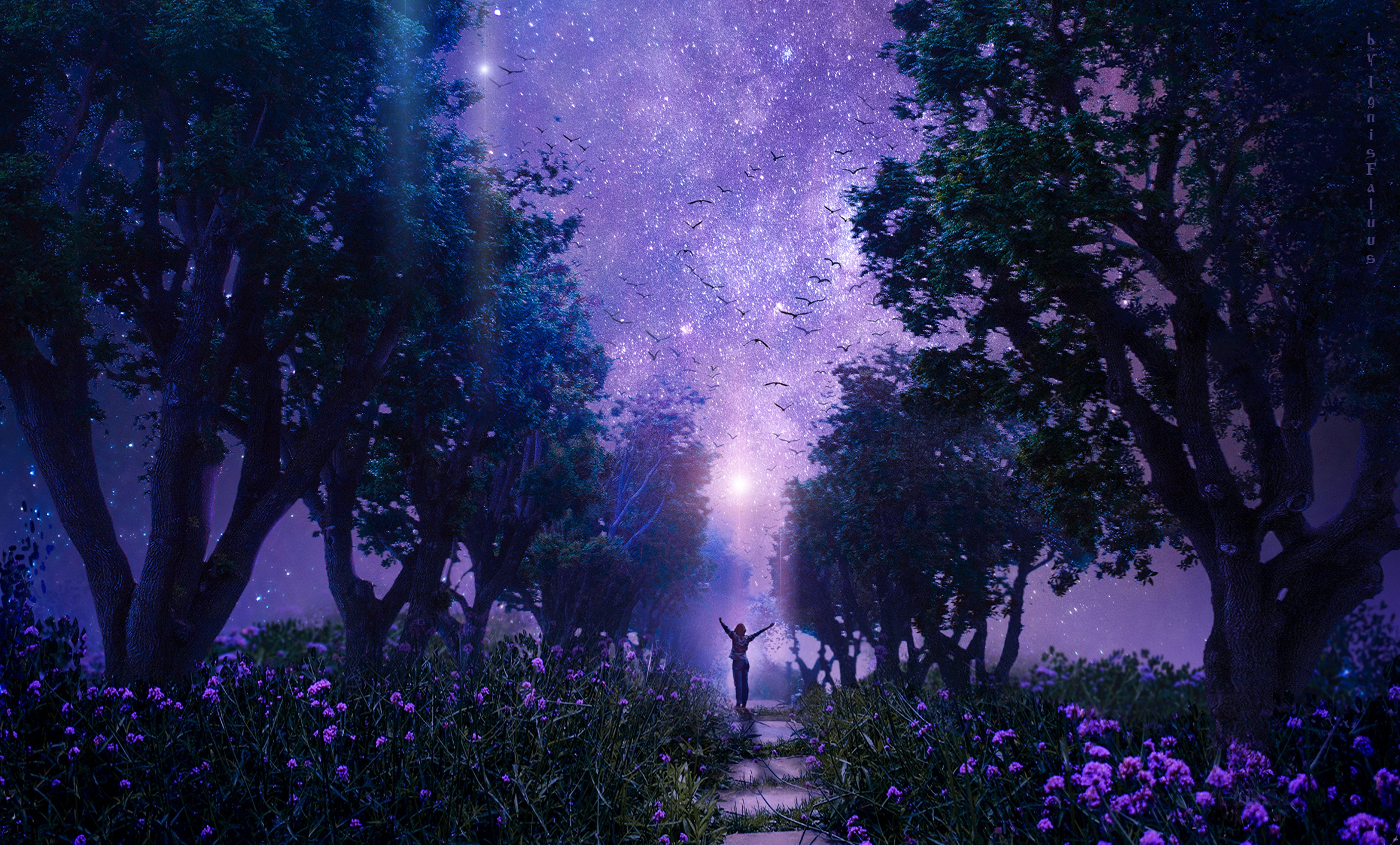 Mobile wallpaper: Fairy, Starry Sky, Fantasy, Fabulous, Forest, Violet, Art, Purple, 88992 download the picture for free