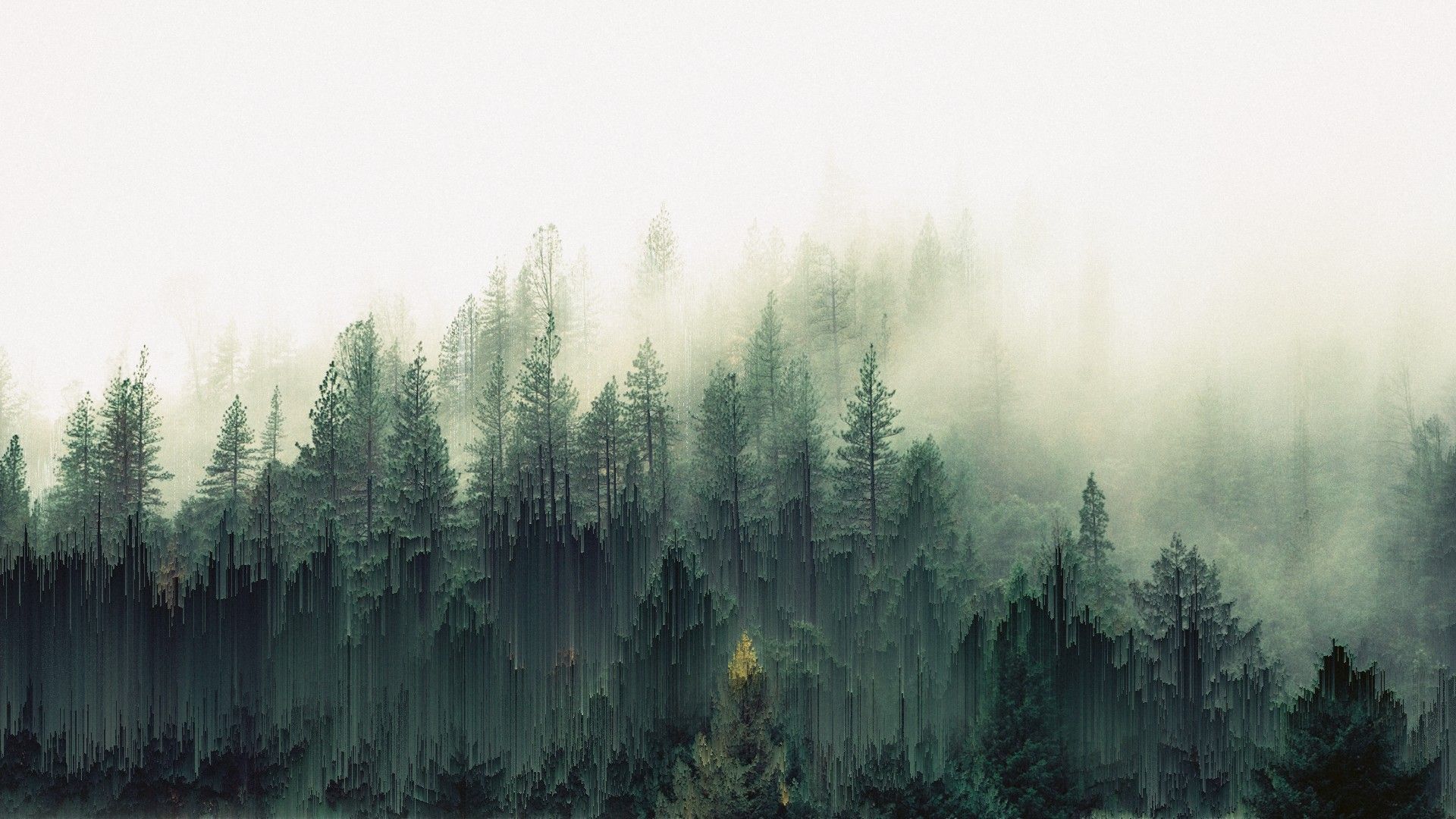 Lovely Misty forest Wallpaper. Forest wallpaper, Dark forest aesthetic, Tree desktop wallpaper