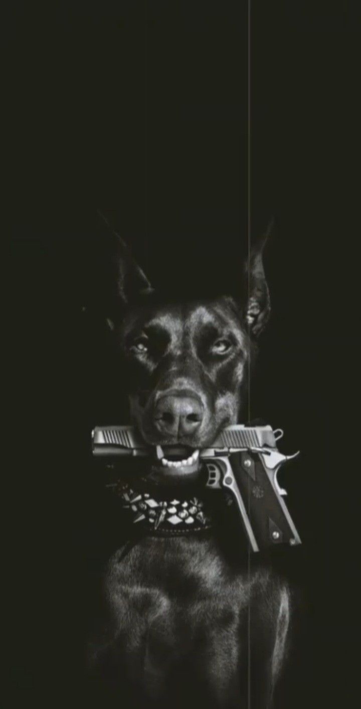 Scary dogs, Black doberman, Doberman
