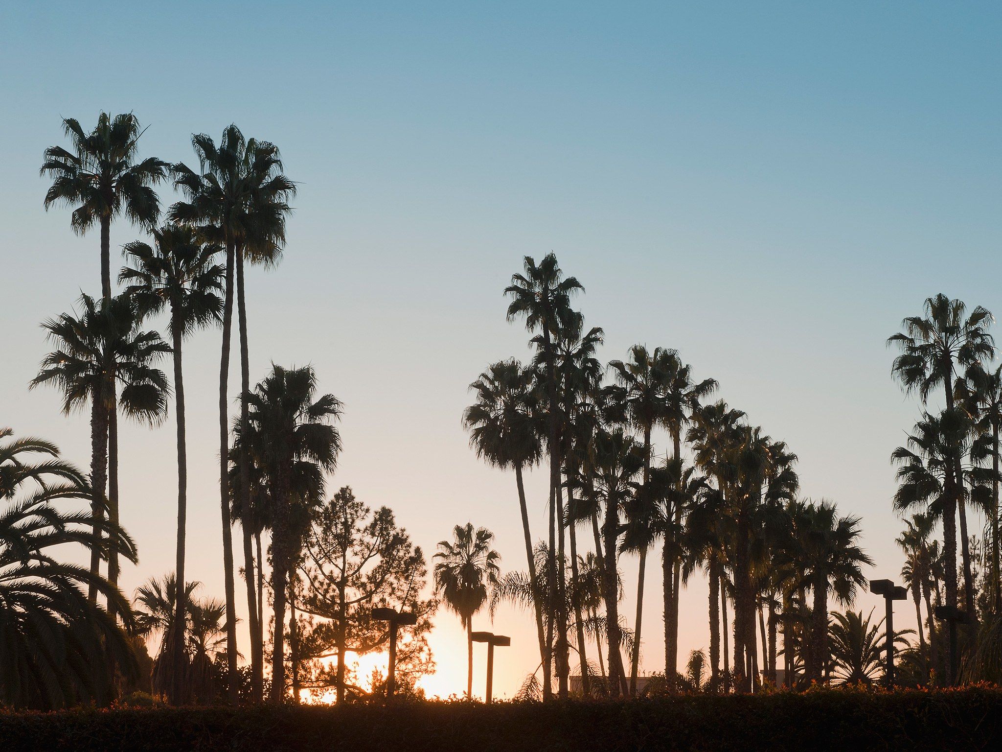 Venice Beach Sunset Wallpaper