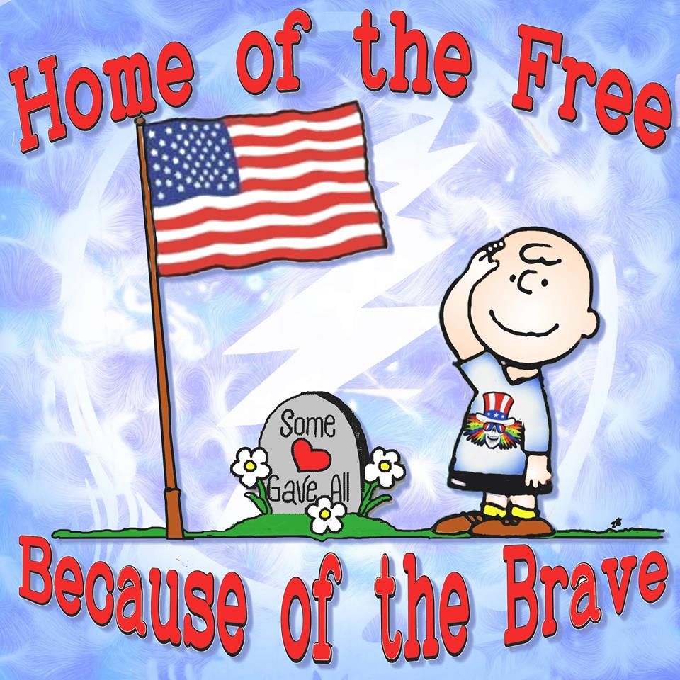 Home of the free because of the brave. Some gave all. Charlie Brown saluting a flag near a gravestone. Snoopy love, Charlie brown and snoopy, Snoopy and woodstock