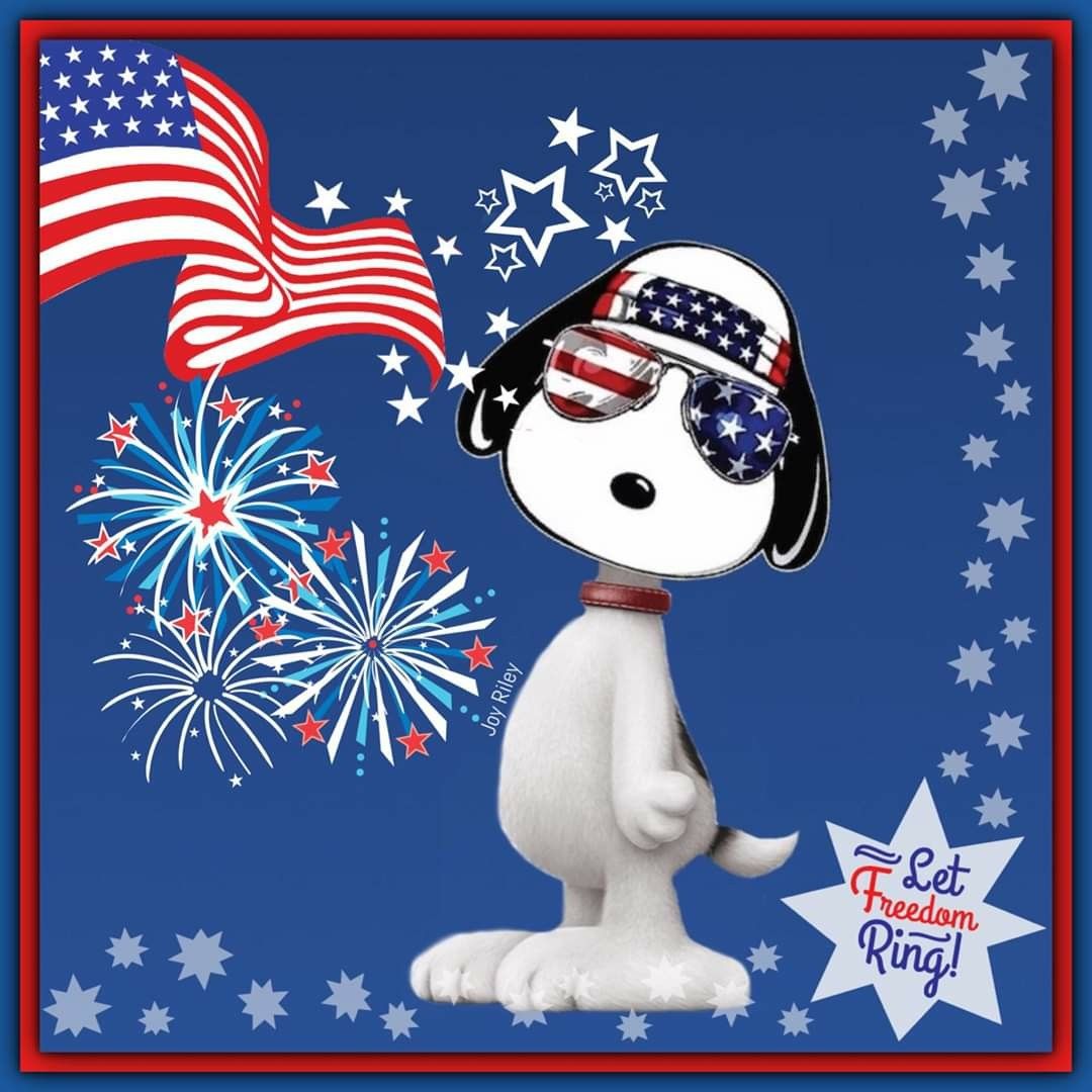 God Bless America! ❤️ July 4th ❤️ Memorial Day ❤️ Labor Day. Snoopy dance, Snoopy picture, Snoopy cartoon