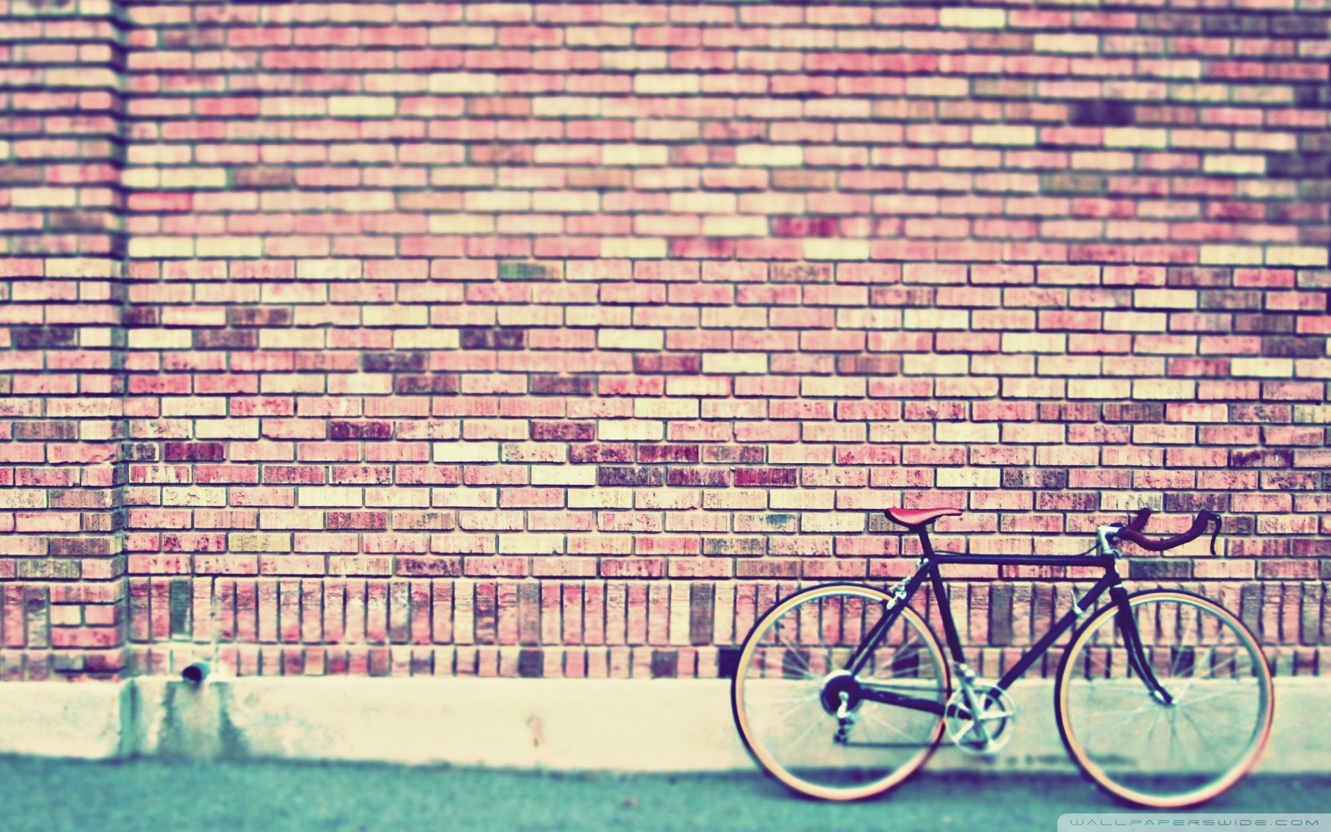 Vintage Bicycle