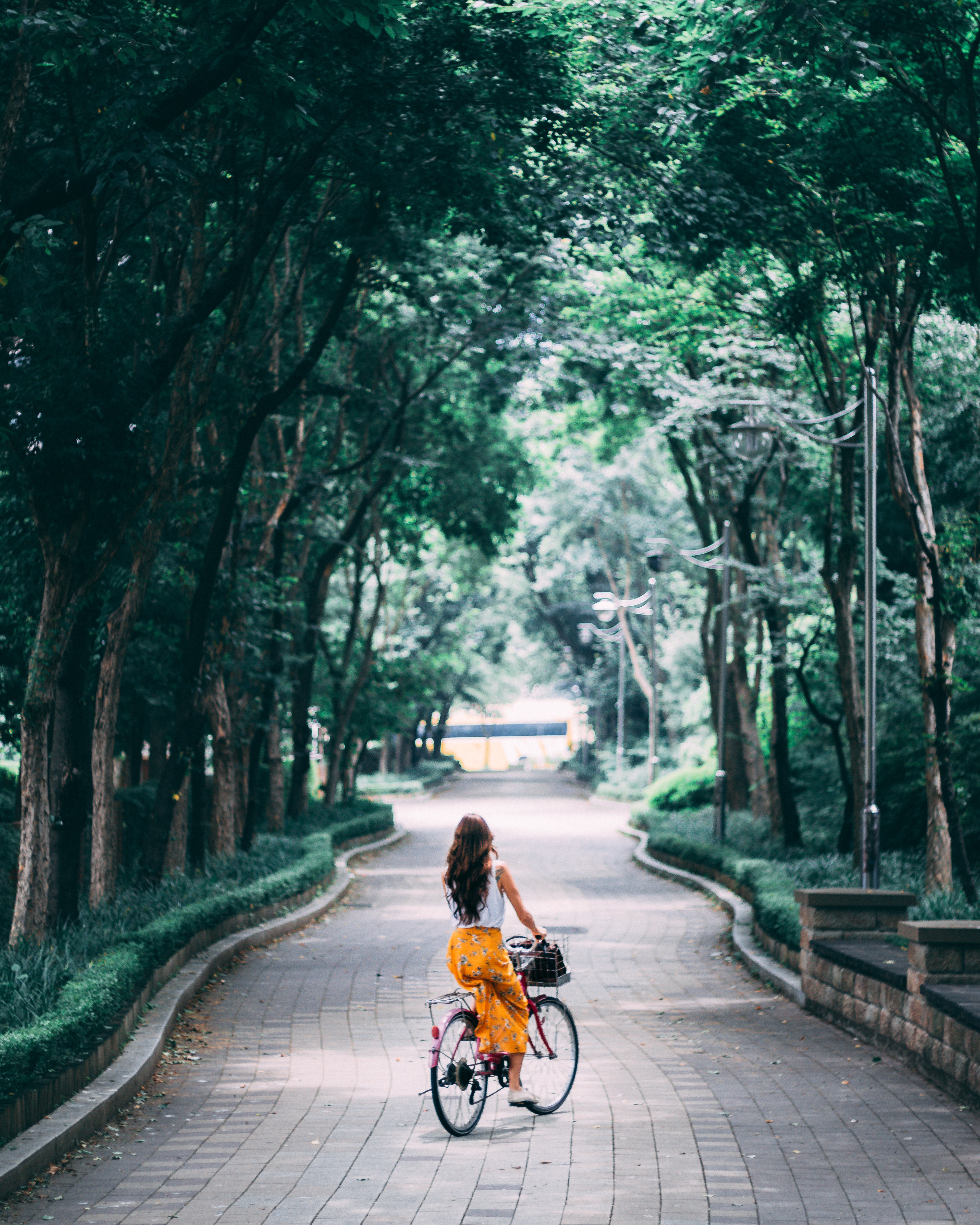 Vintage Bicycle Photo, Download Free Vintage Bicycle & HD Image