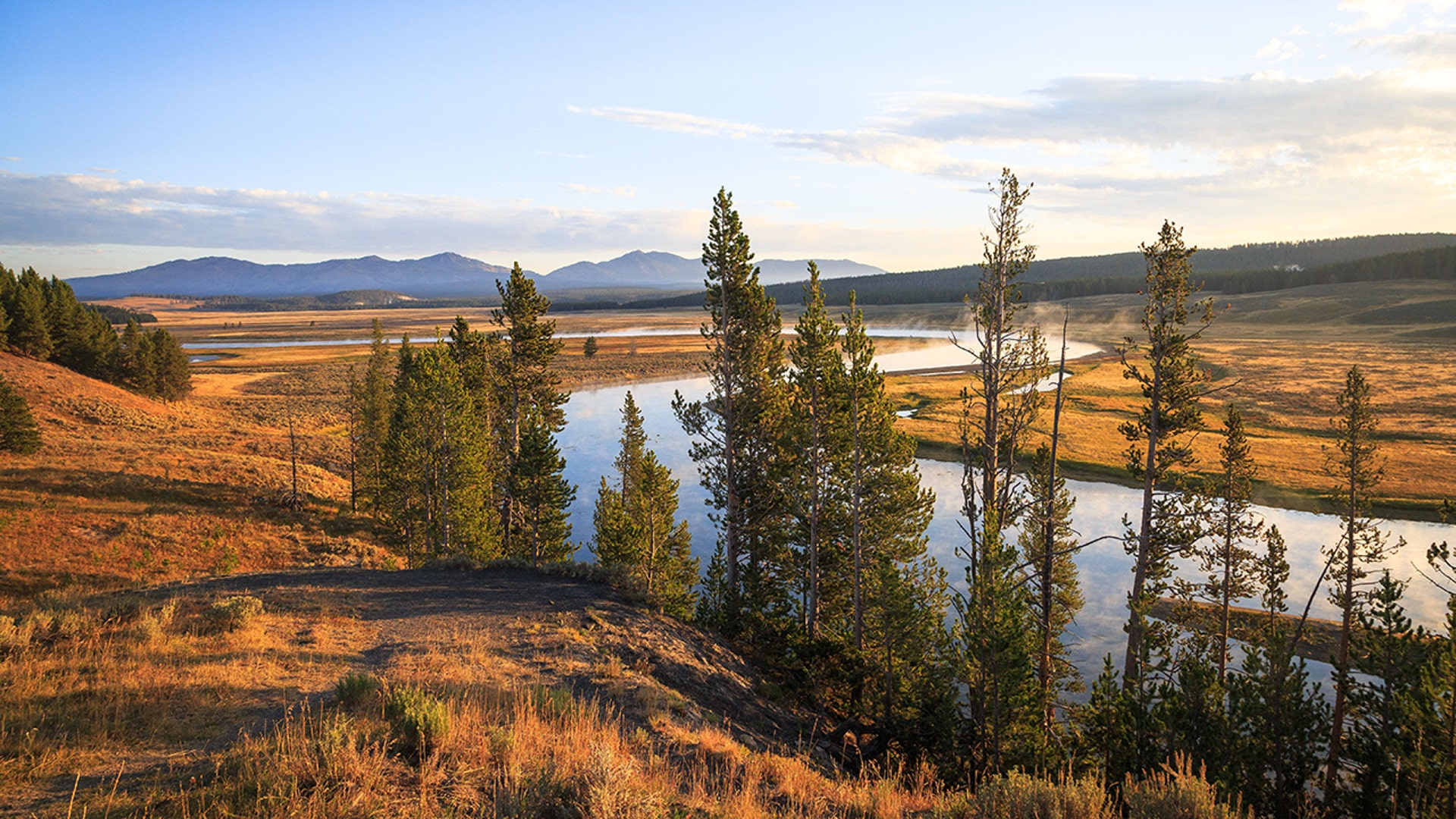 Yellowstone National Park: Stunning photo celebrate 150 years of nature and wildlife